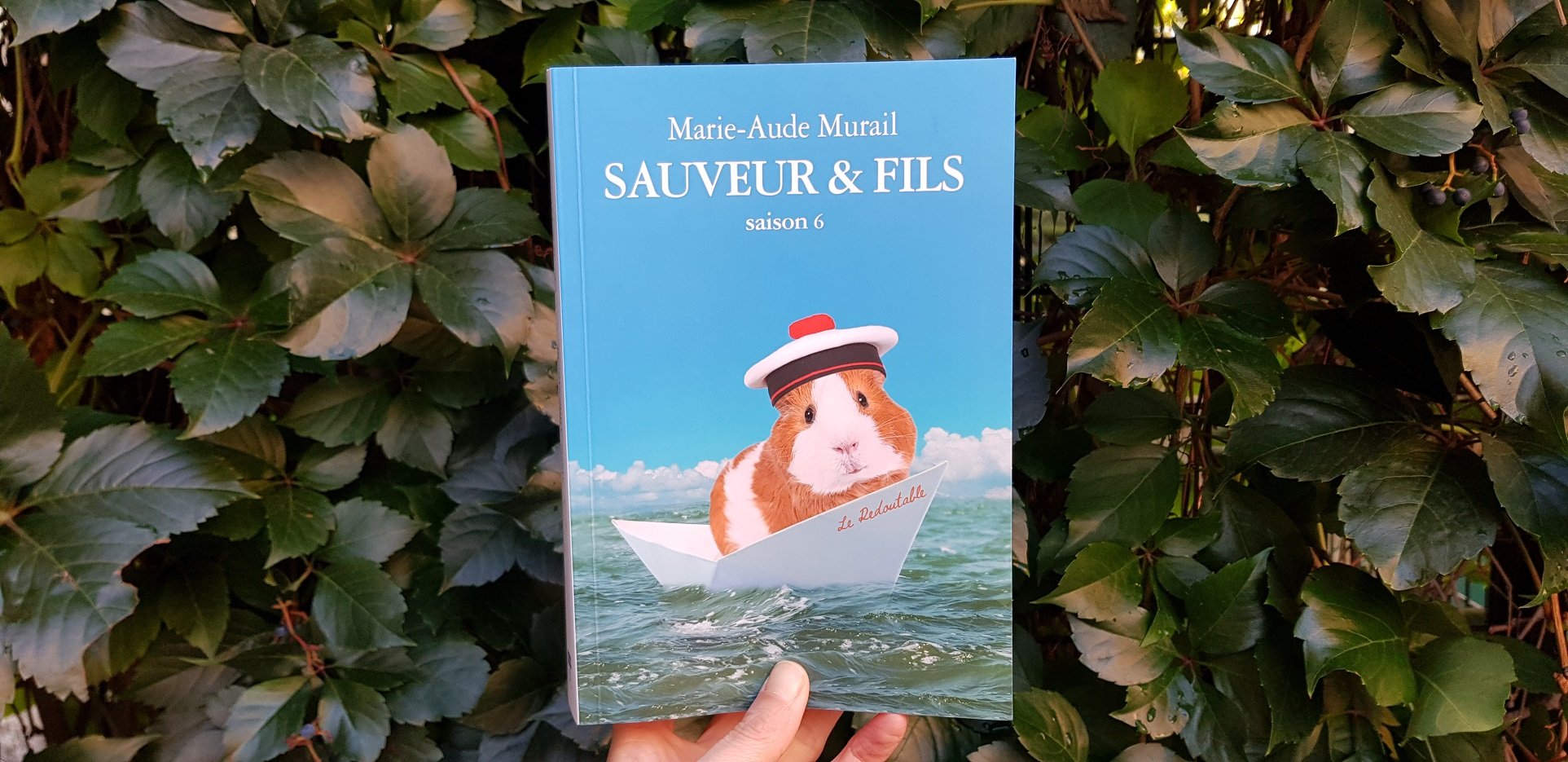 Sauveur et fils la série - Marie-Aude Murail