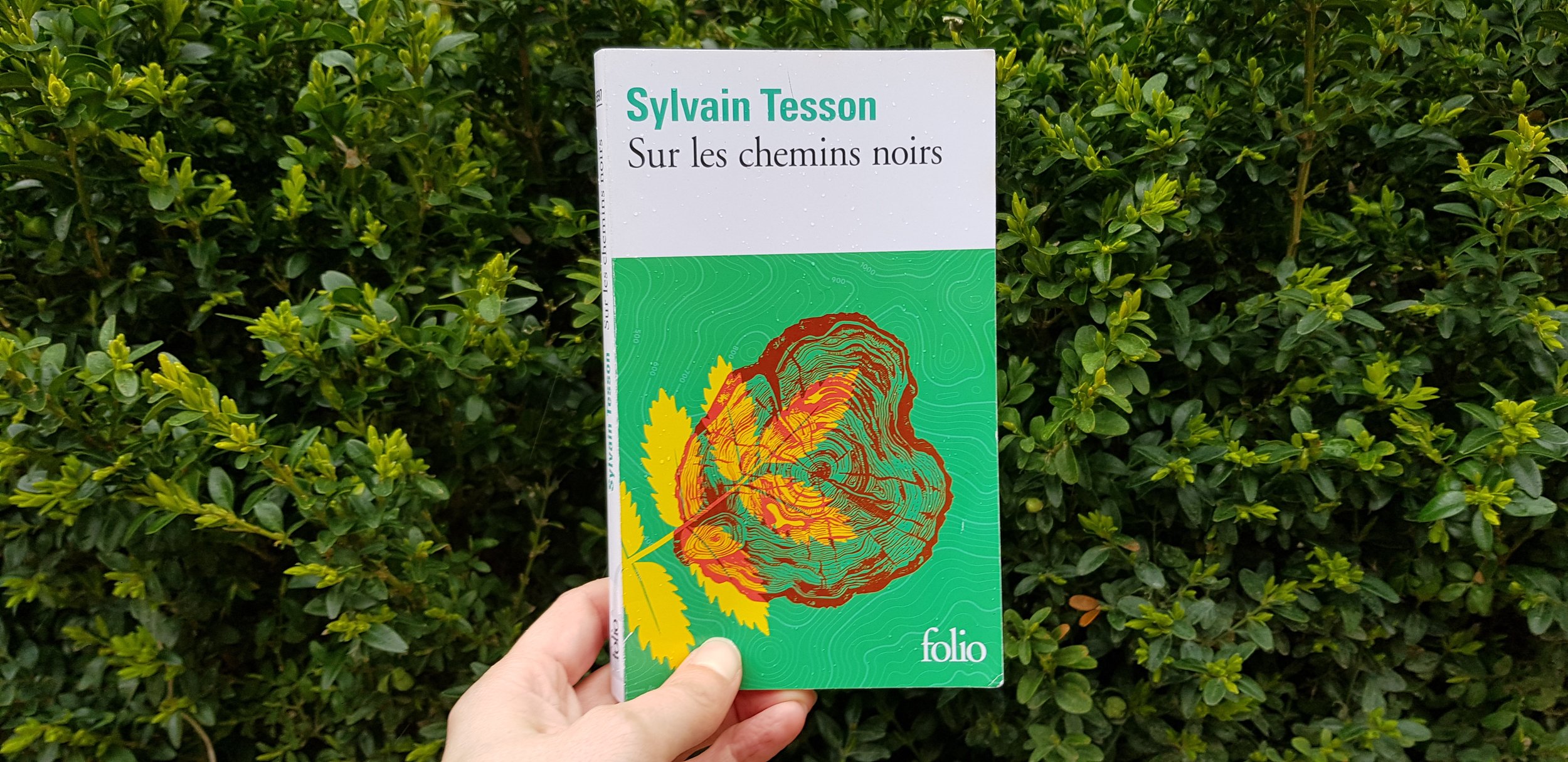 Sur les chemins noirs - Sylvain Tesson