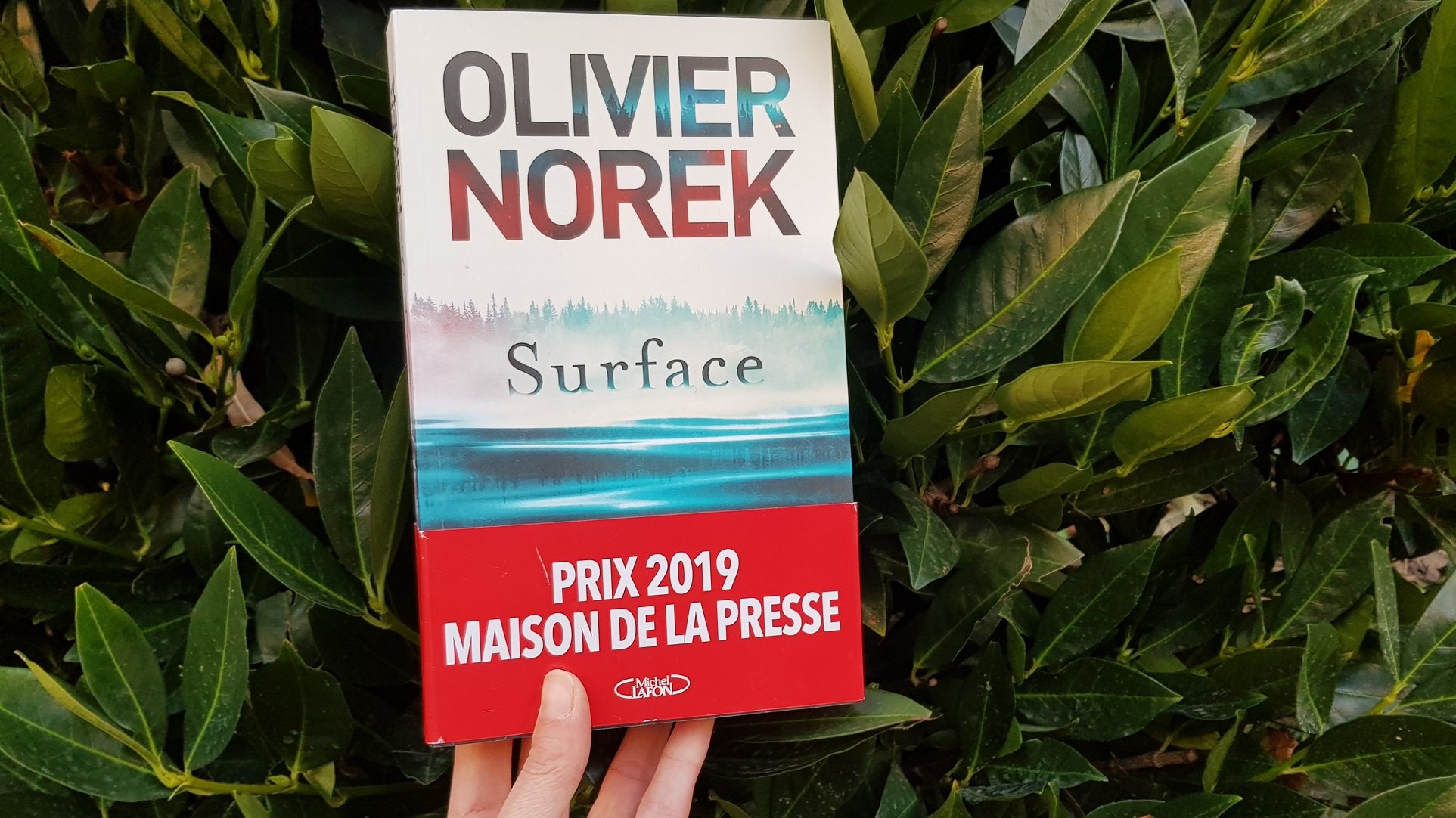 Surface - Olivier Norek