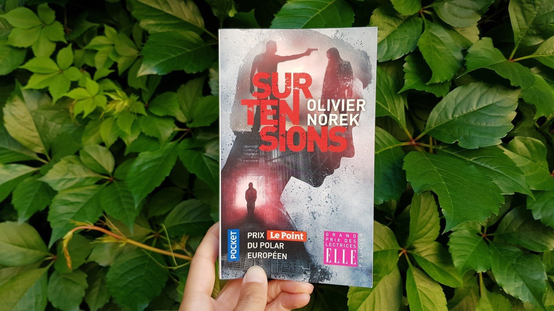 Surtensions - Olivier Norek