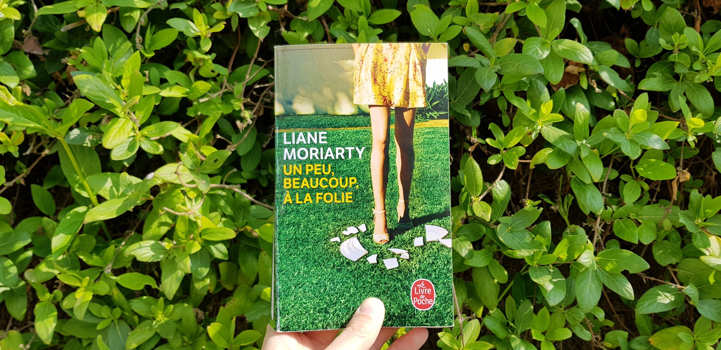 Un peu, beaucoup, à la folie de Liane Moriarty