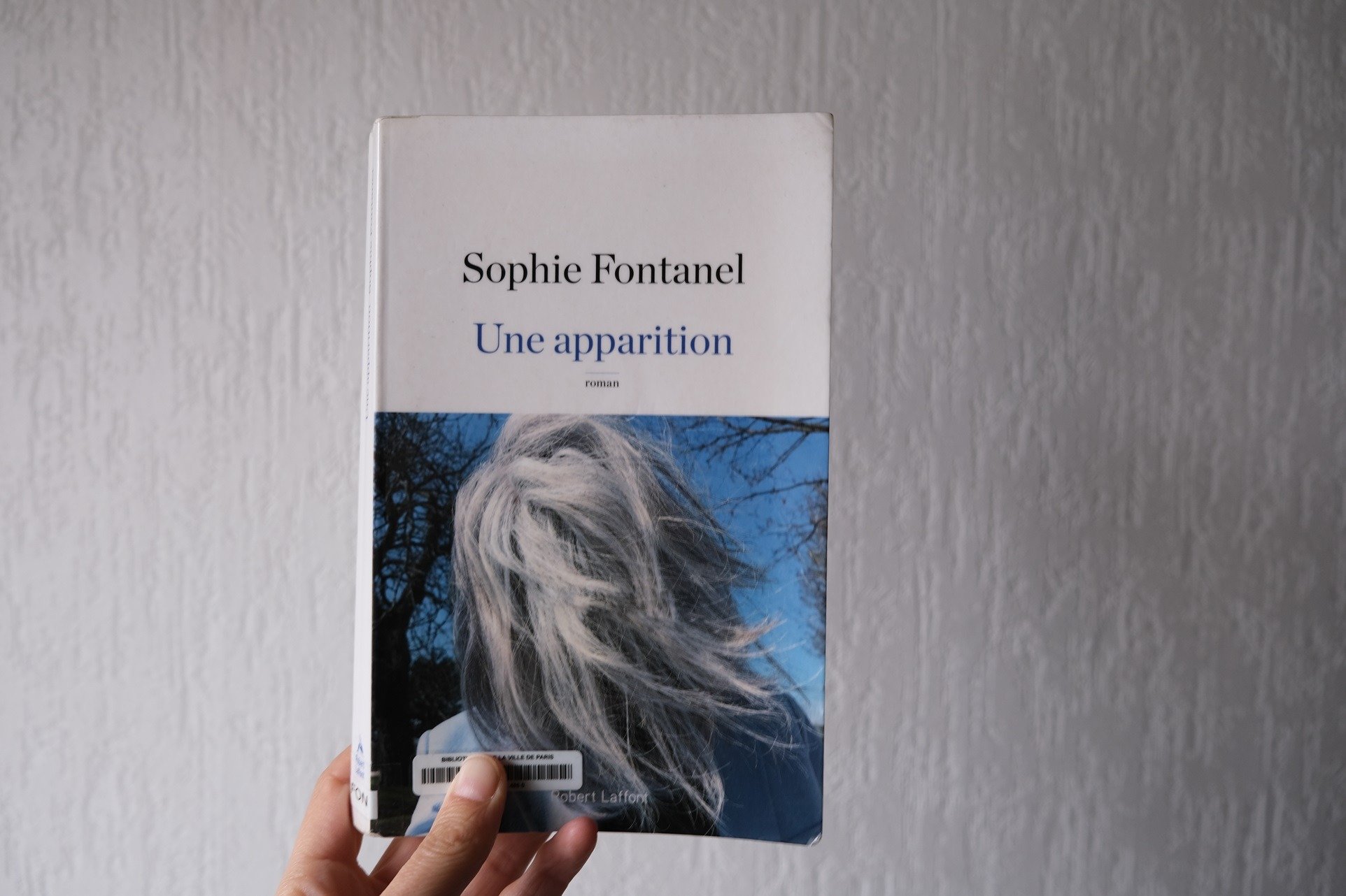 Une apparition - Sophie Fontanel