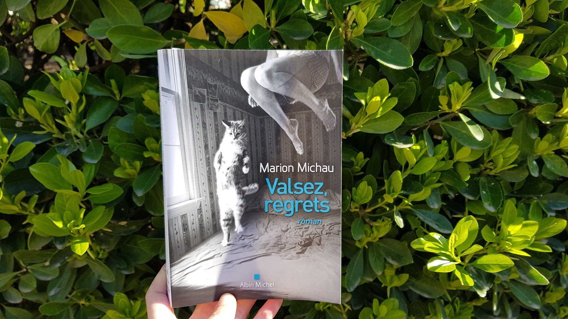 Valsez, regrets - Marion Michau