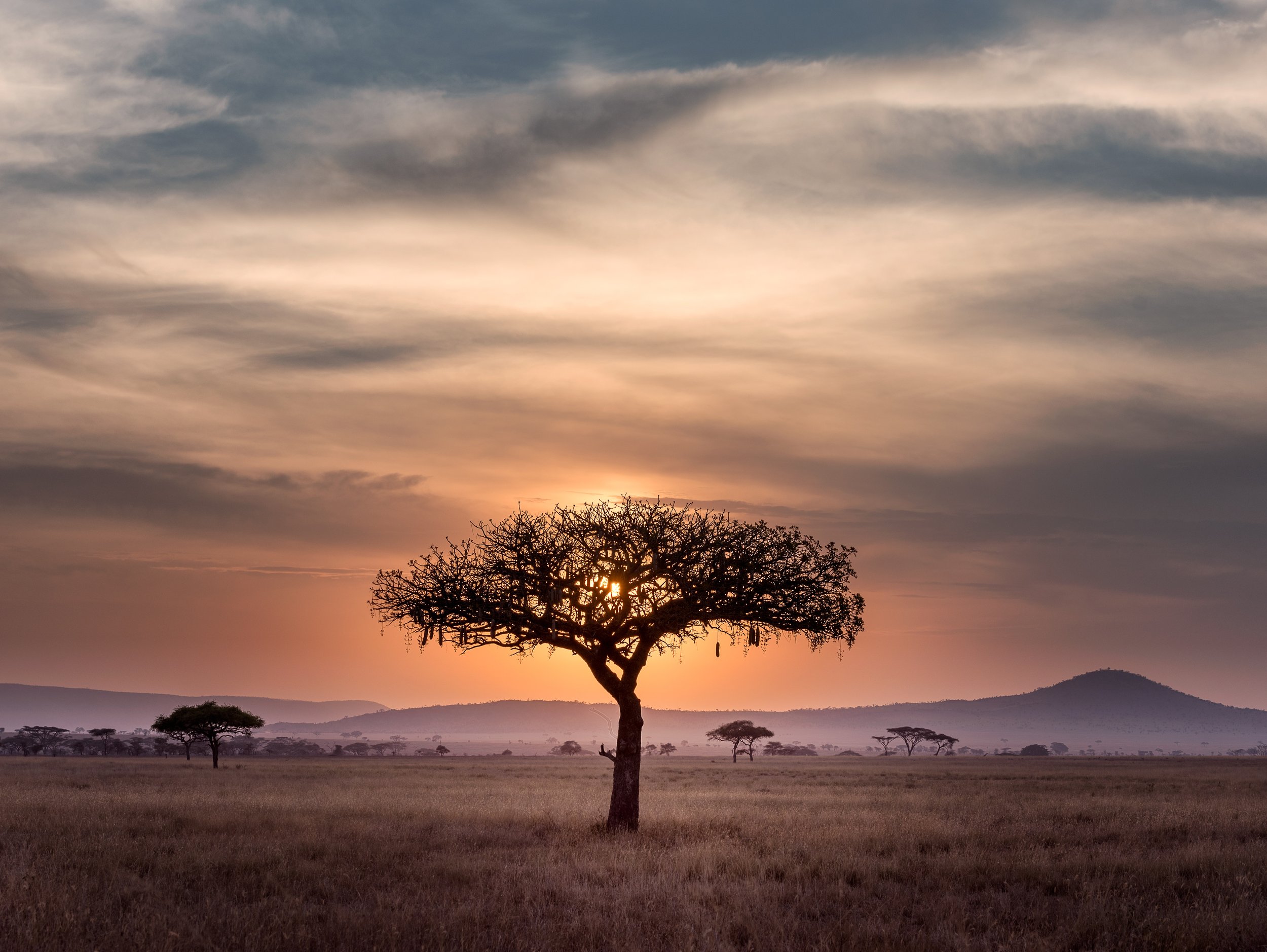 Vous partez en Afrique, les romans à emporter