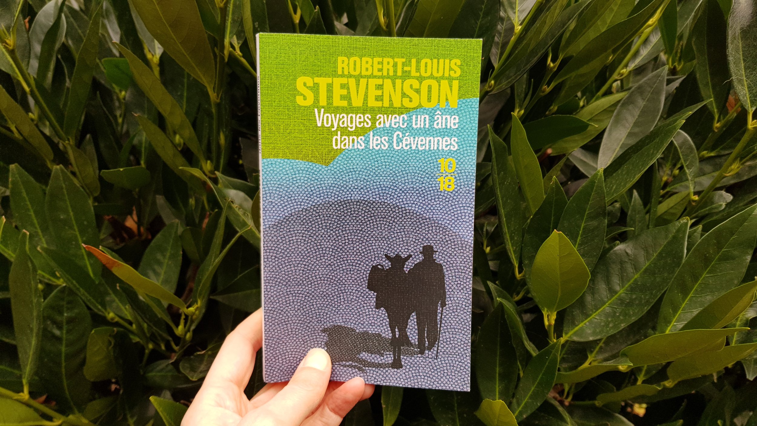 Voyage avec un âne dans les Cévennes - R. L. Stevenson