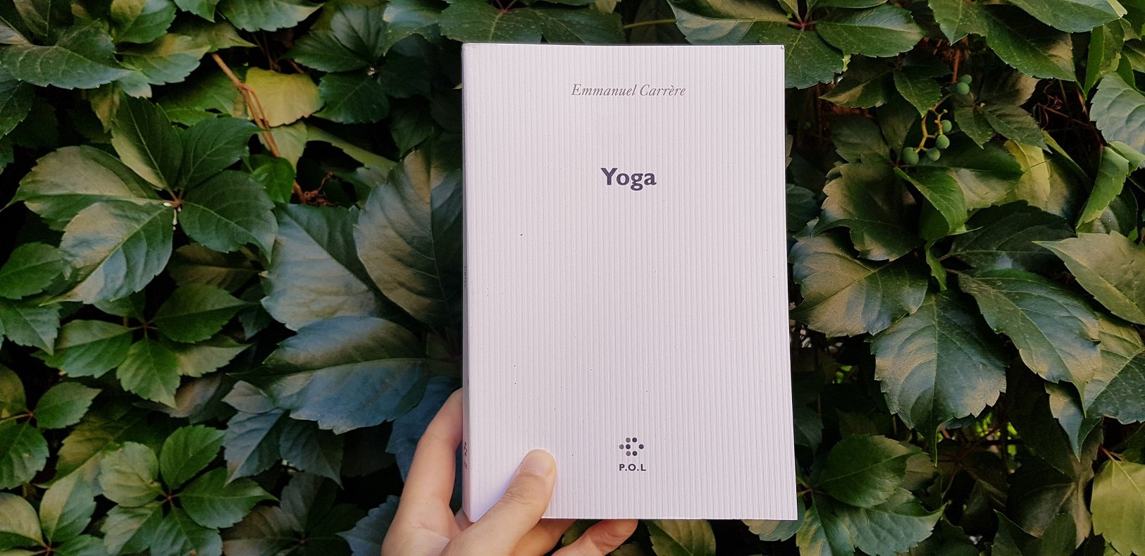 Yoga - Emmanuel Carrère