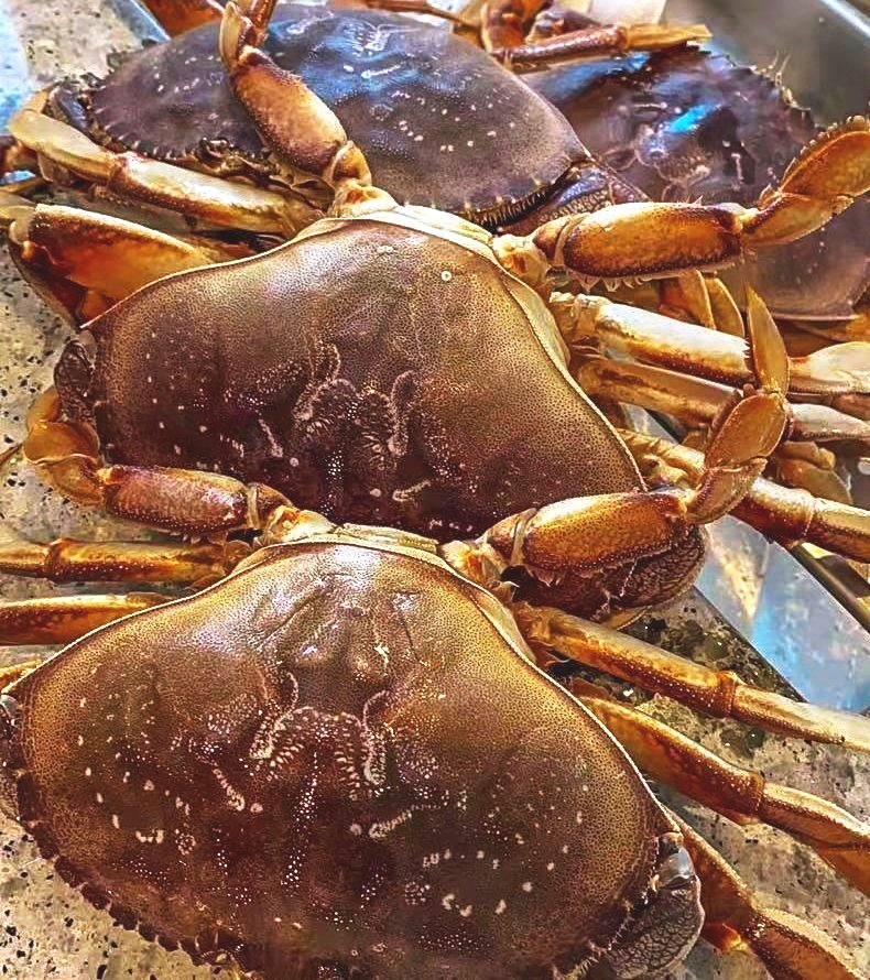 crabs edited-10.jpg