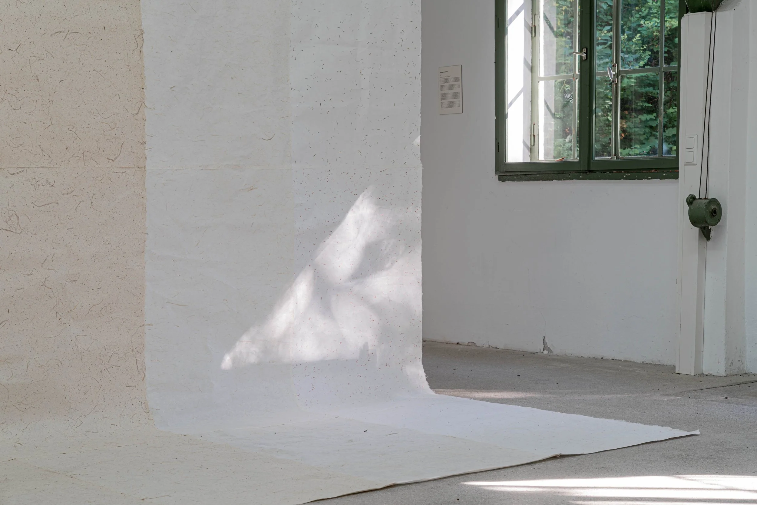 A Temporary Garden-3.jpg