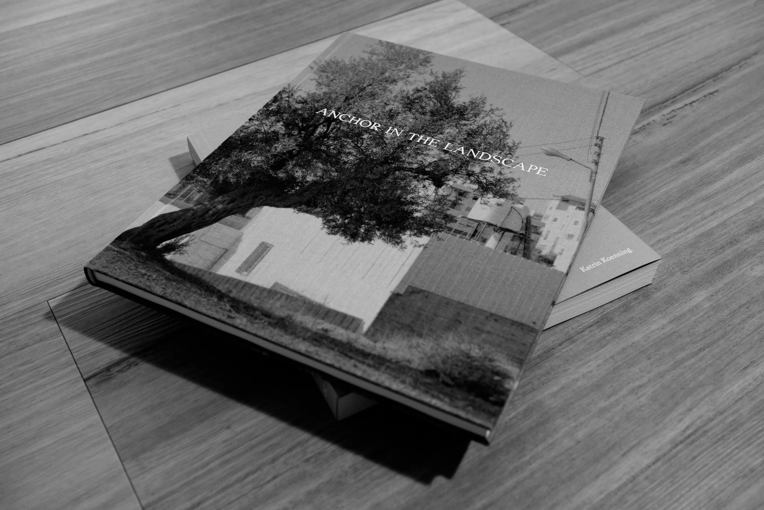 A black-and-white images of two books.