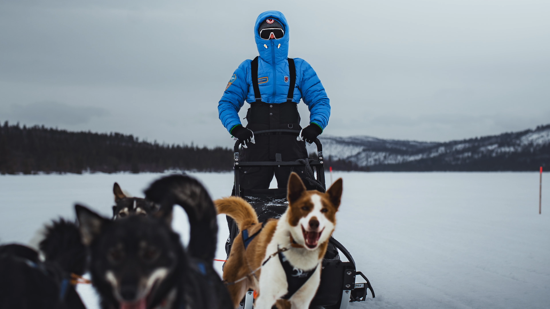 2025 - Chris Barrett Explorer