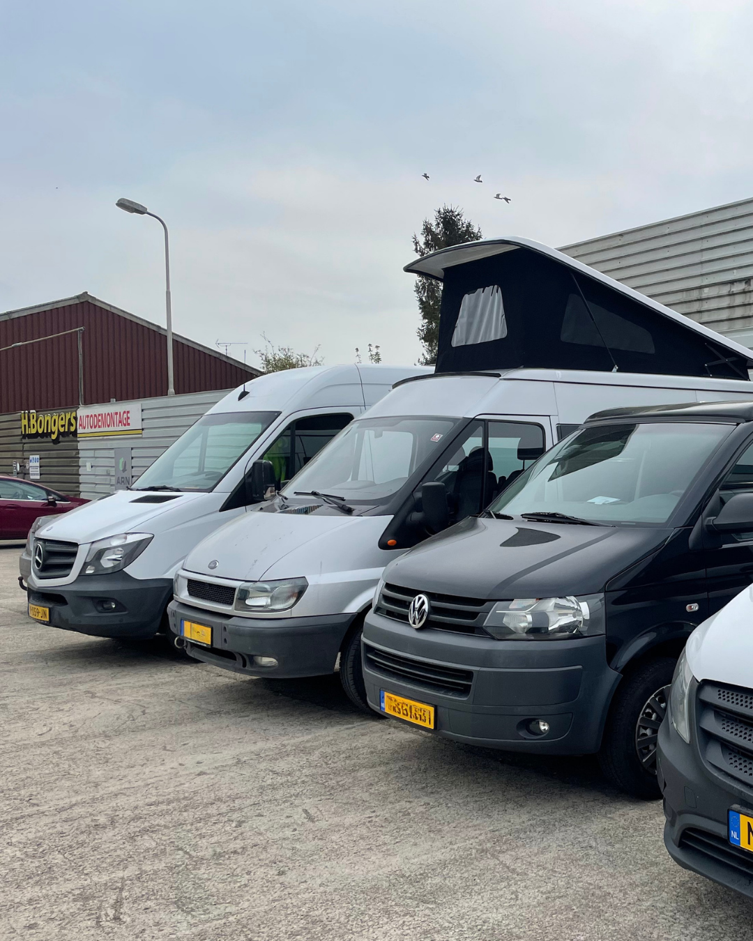 Ontwerp zonder titel (65).png