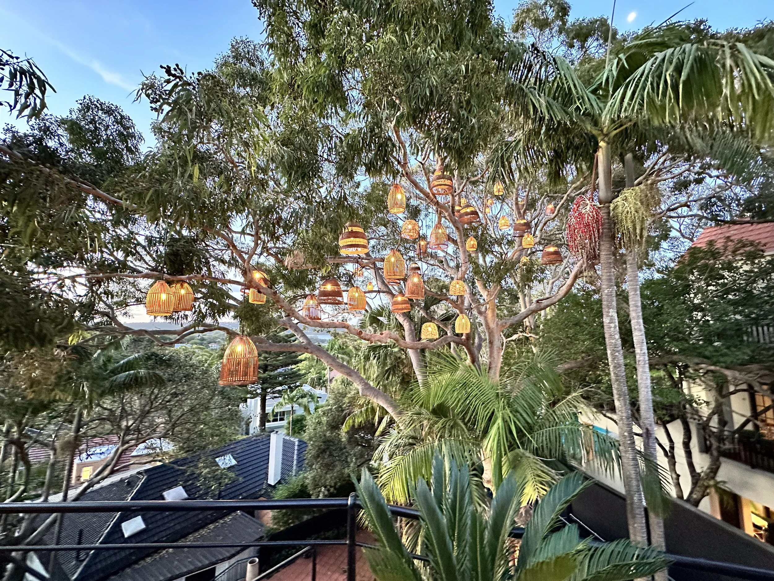 Tree decorated with hanging lanterns in an outdoor setting during dusk.