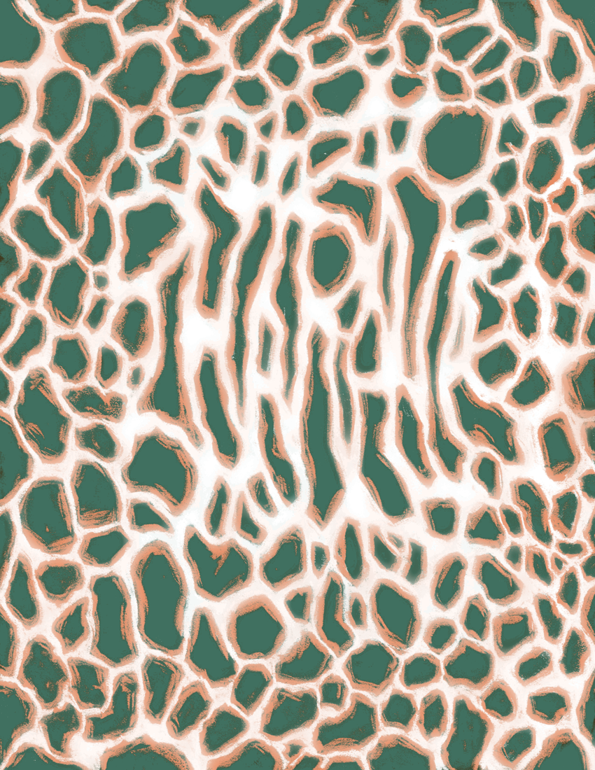page 3.grayscale.ink-1-huntergreen.huntergreen-orange.preview Combined_page_3.png
