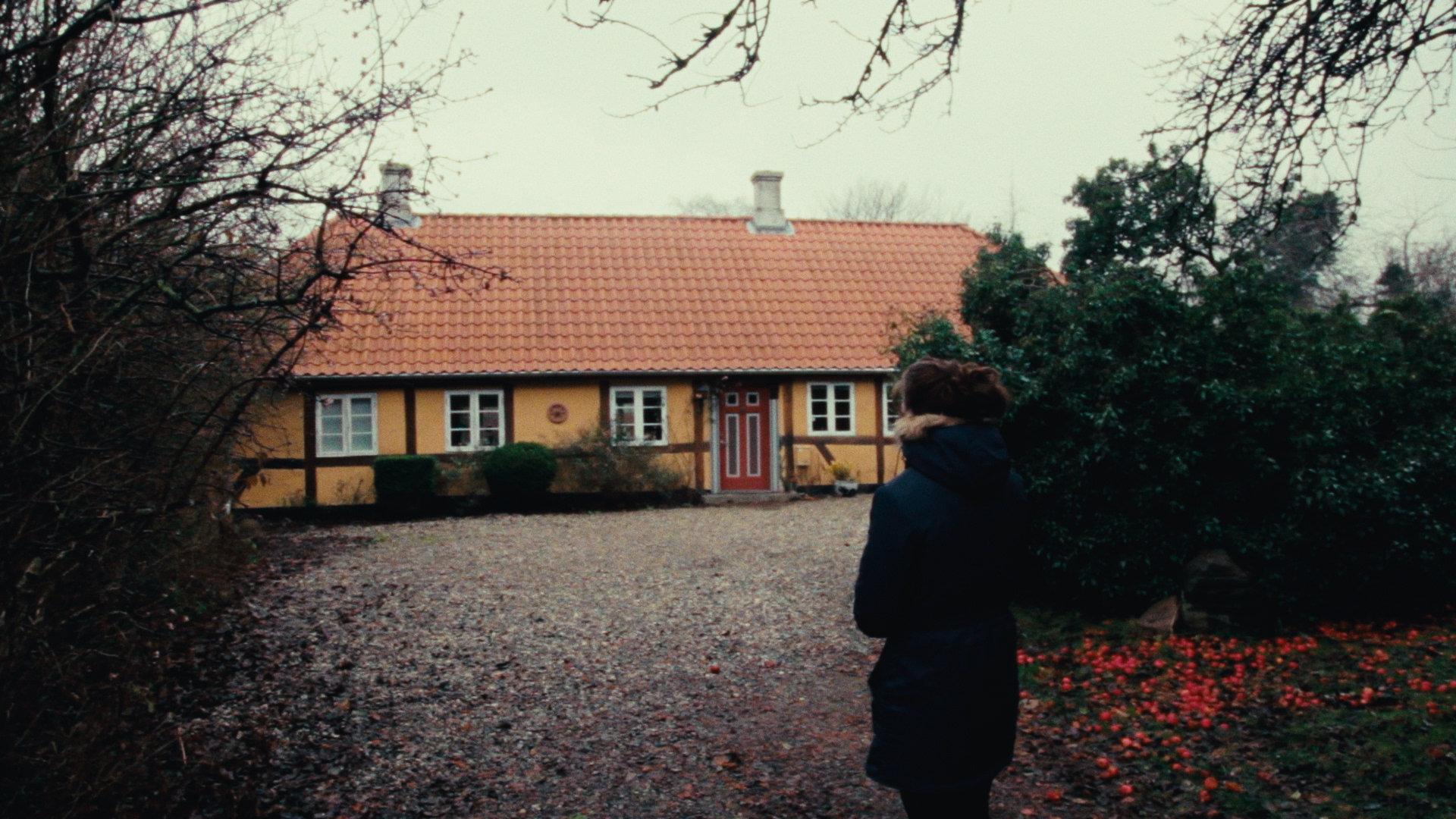 DET FORSVUNDNE BARNDOMSHJEM.00_10_41_04.Still009.png