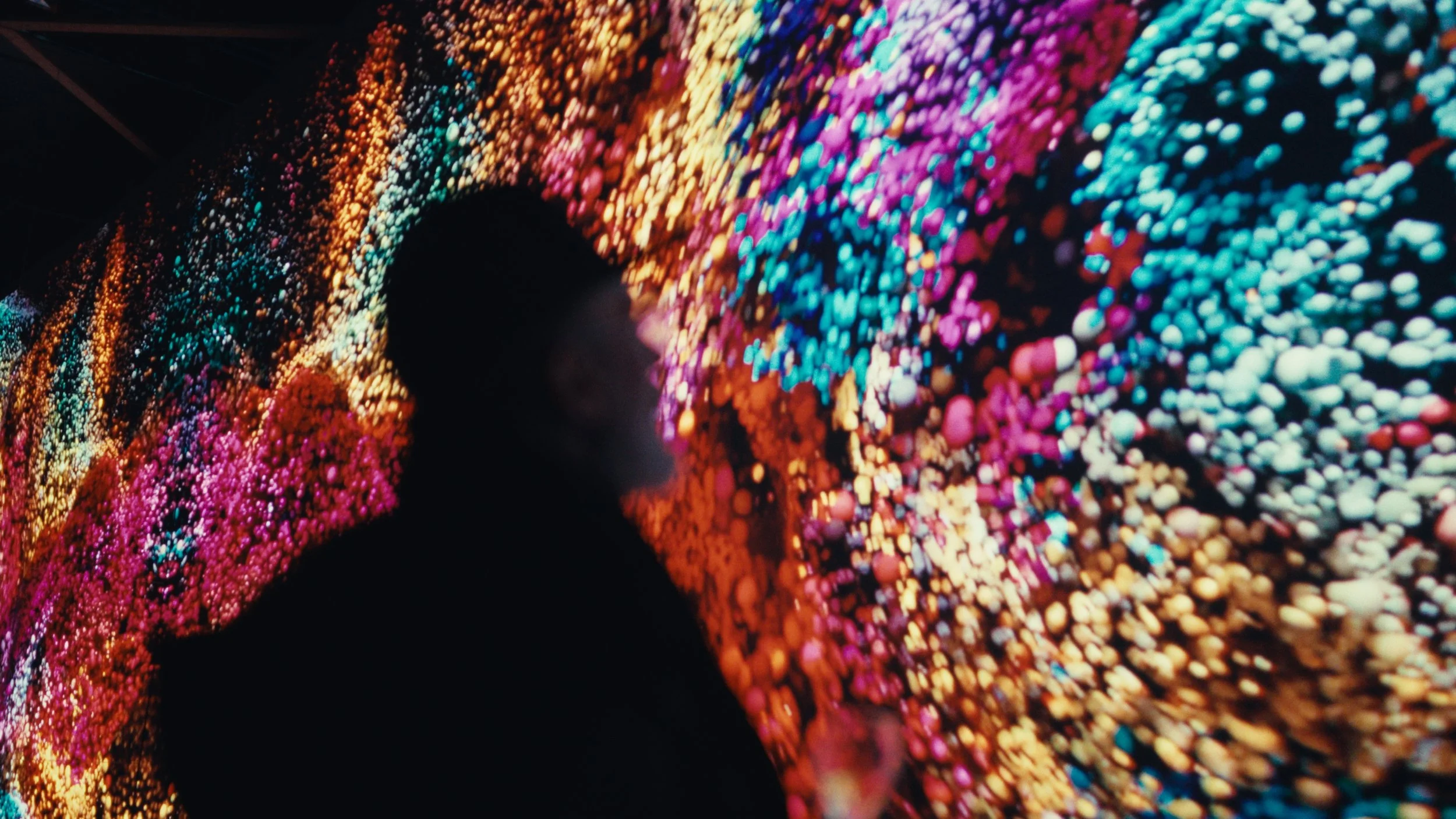 Still 2026-02-15 163557_1.51.1.jpg