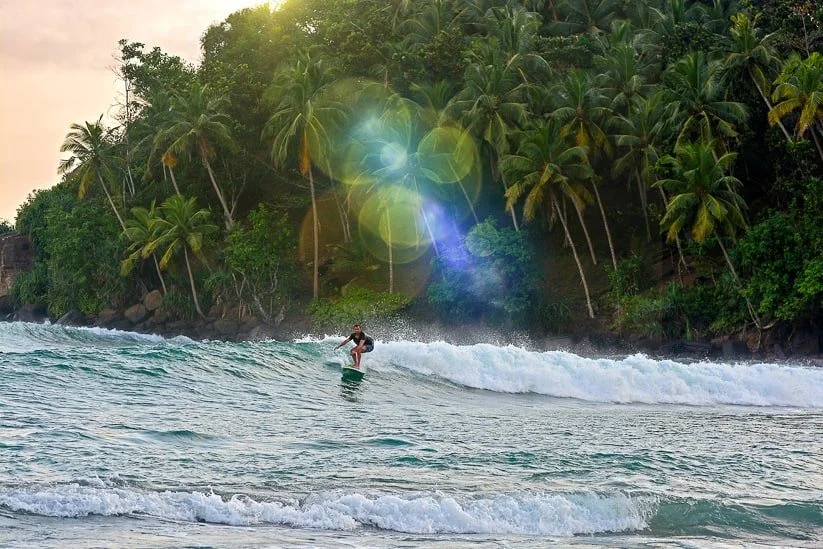 Persona surfeando en el océano frente a una costa con palmas y vegetación tropical.