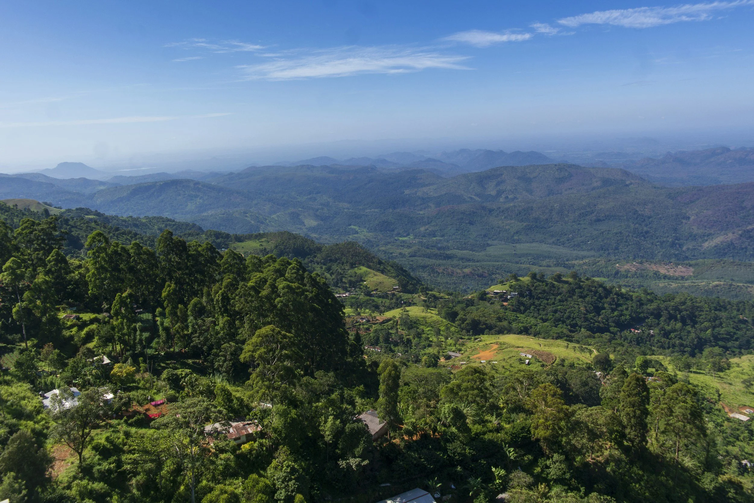 Vista panorámica de montañas verdes y bosques, con algunas casas dispersas entre la vegetación, bajo un cielo azul con nubes delgadas.