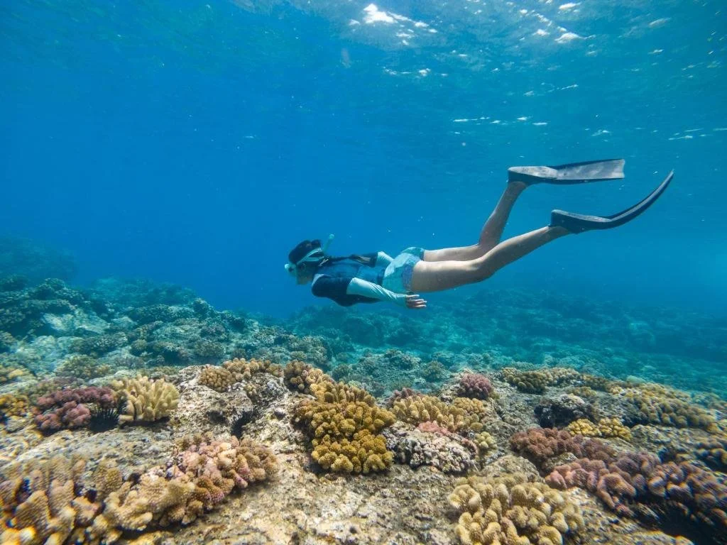 Persona haciendo esnórquel sobre arrecife de coral en el océano.