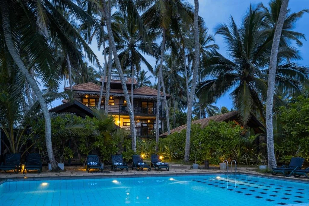 Vista nocturna de una piscina con sillones, rodeada de palmeras y vegetación, y una casa de madera iluminada en el fondo, en un ambiente tropical