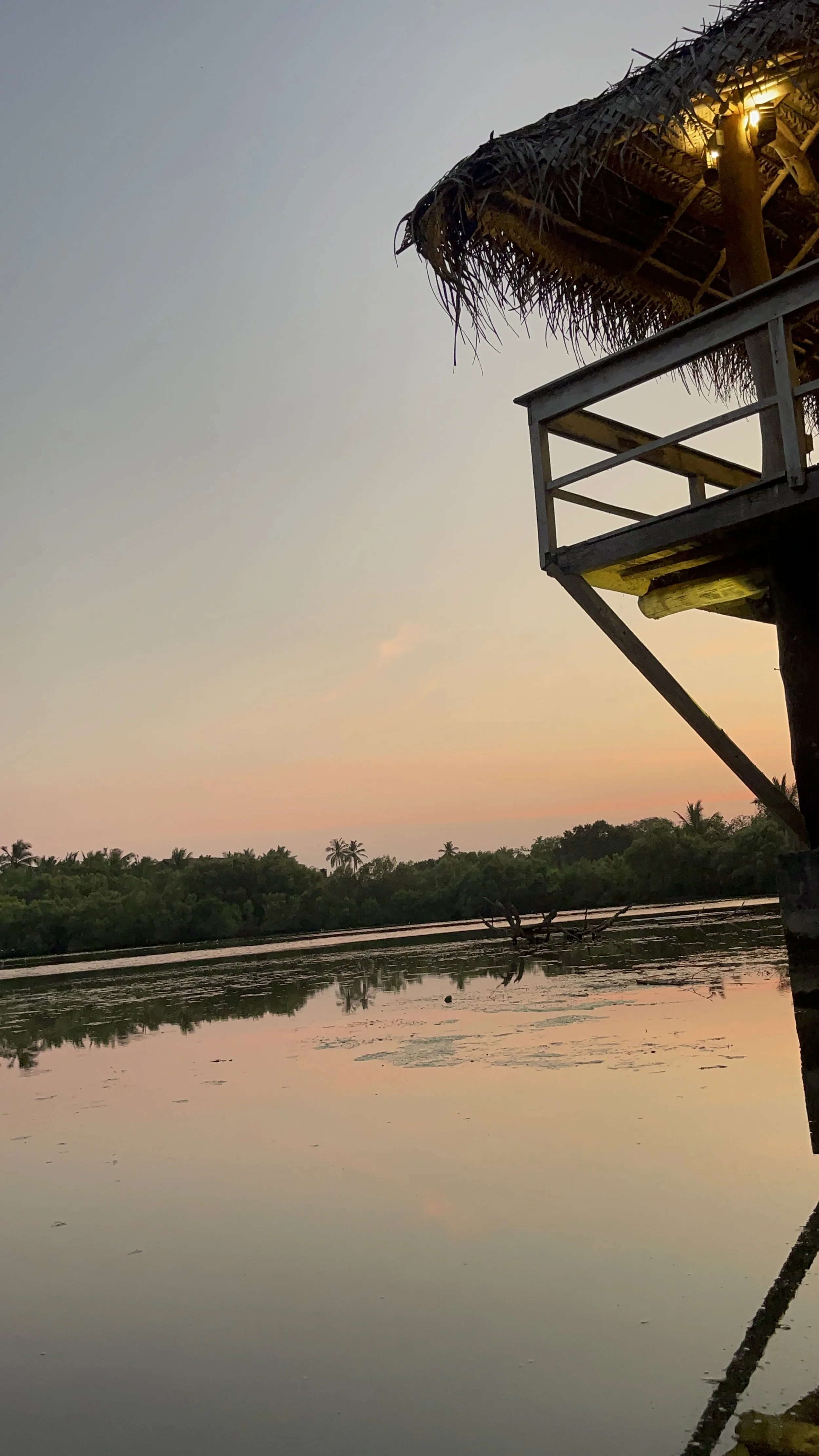 Vista desde una estructura de palapa en una zona de manglares al atardecer, con el cielo en tonos pastel y agua tranquila que refleja el cielo y las palmas en la distancia.