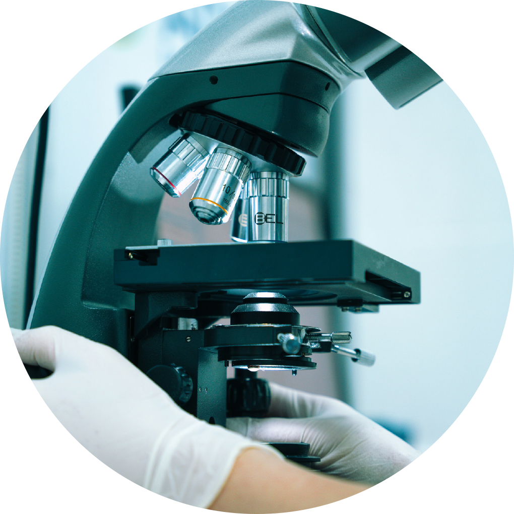 Carmil Therapeutics
