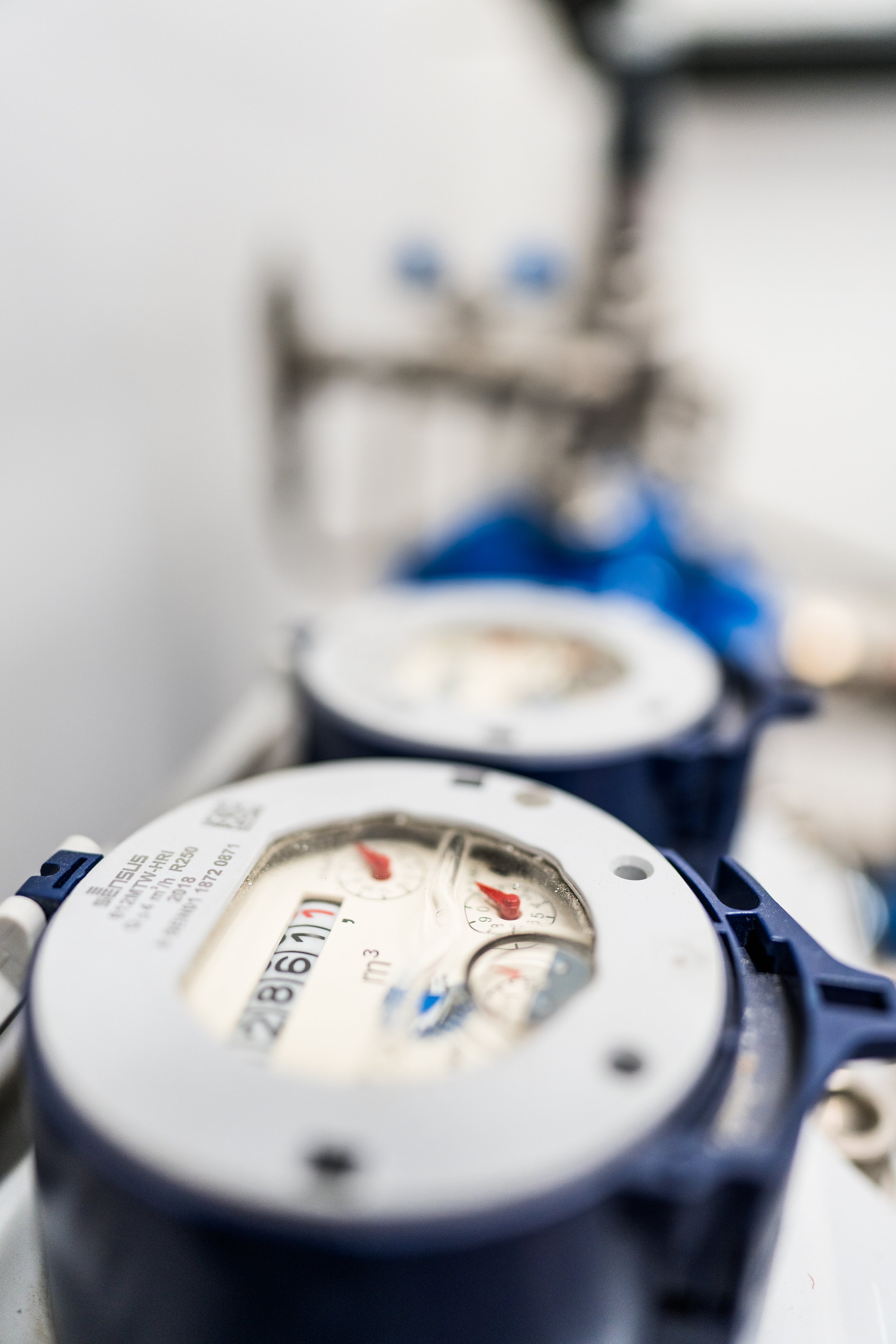 © Cecilie Hatløy_Møre Media-1784.jpg