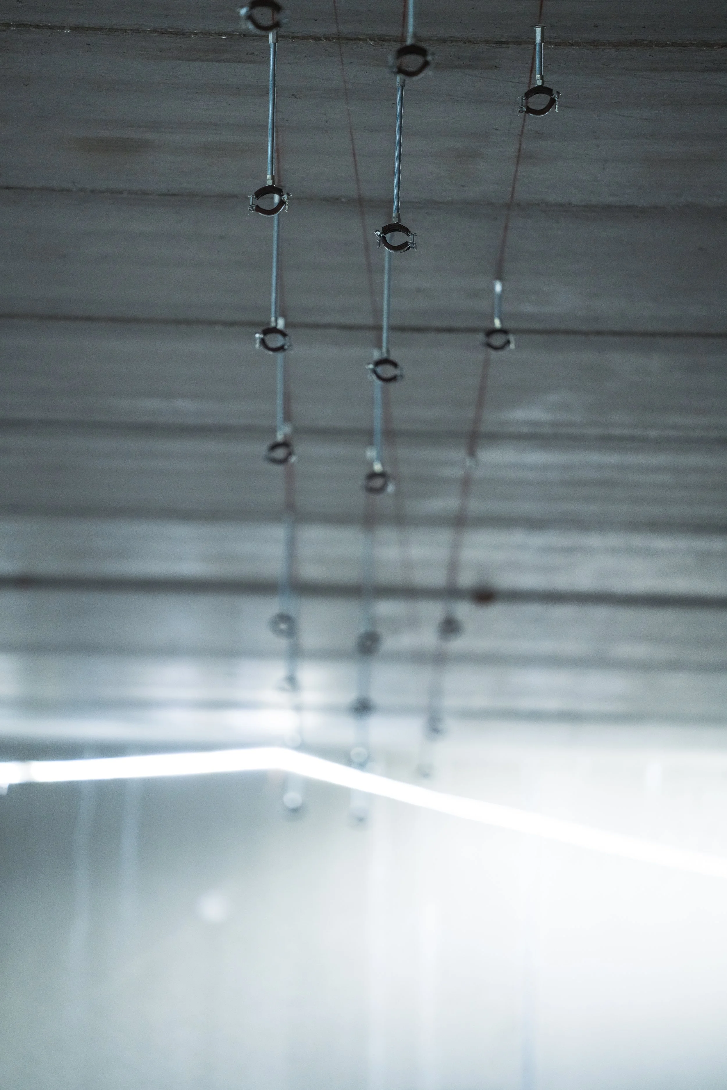 © Fotograf Cecilie Hatløy_-2839.jpg