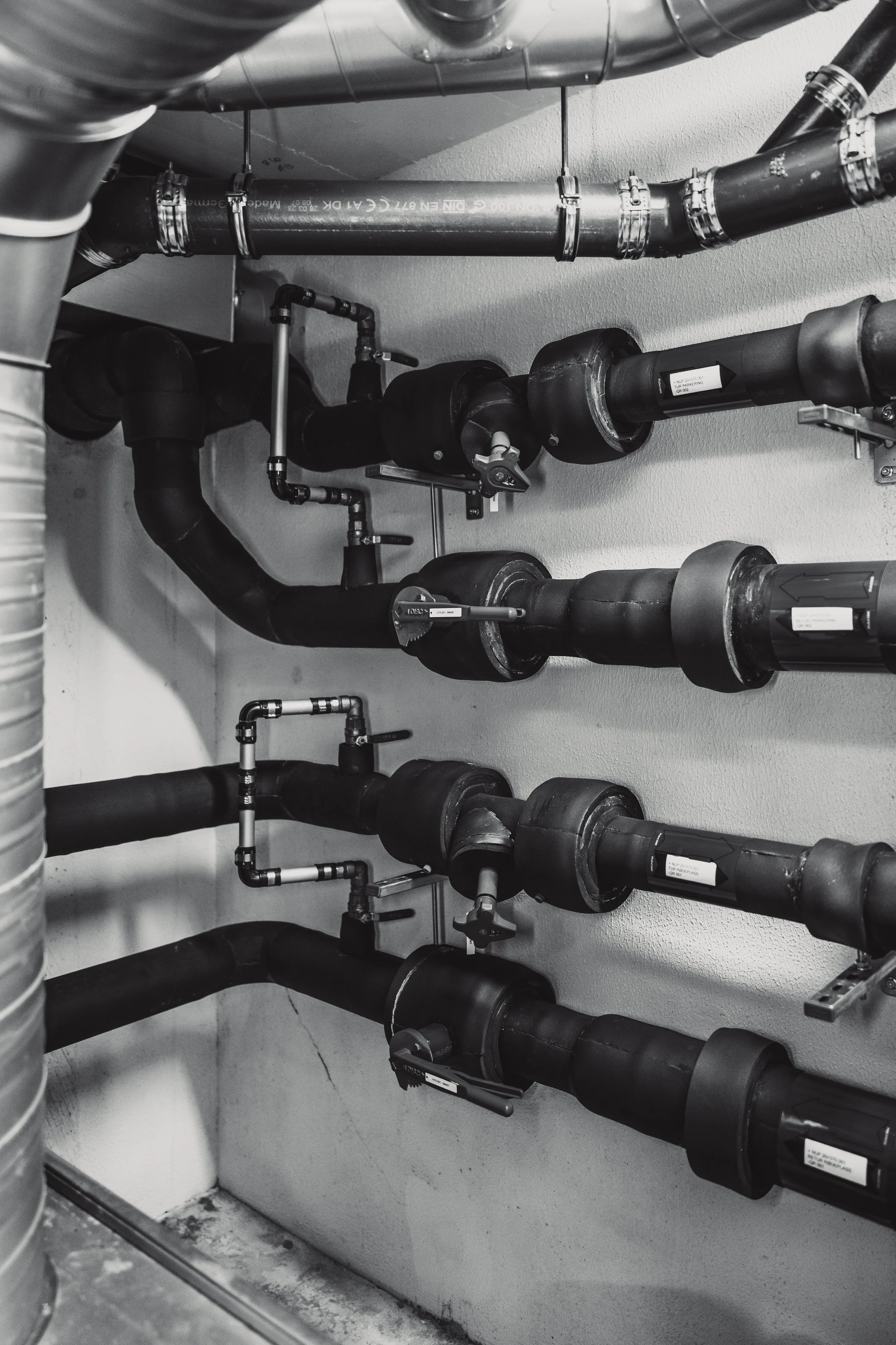 © Fotograf Cecilie Hatløy_-3205.jpg