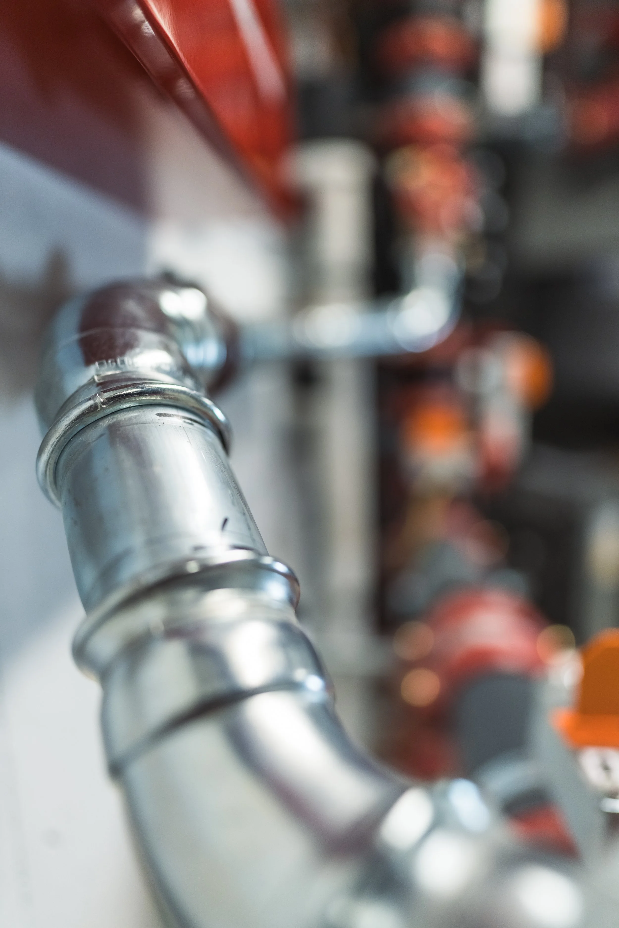 © Fotograf Cecilie Hatløy_-3329.jpg