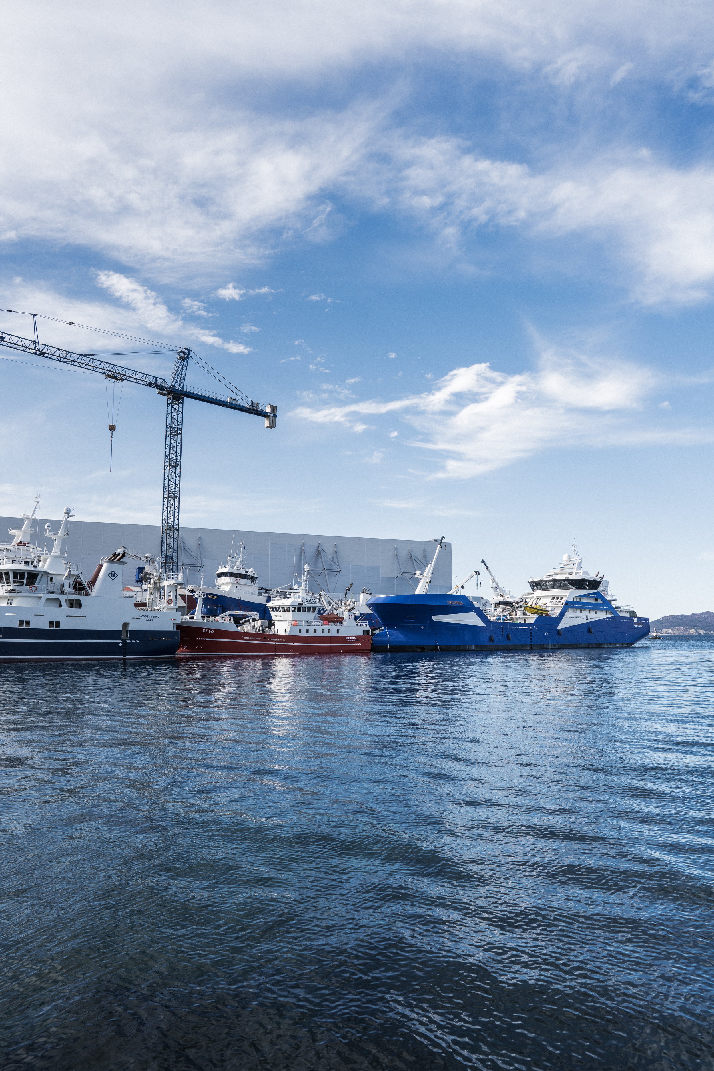 © Fotograf Cecilie Hatløy_-3985.jpg