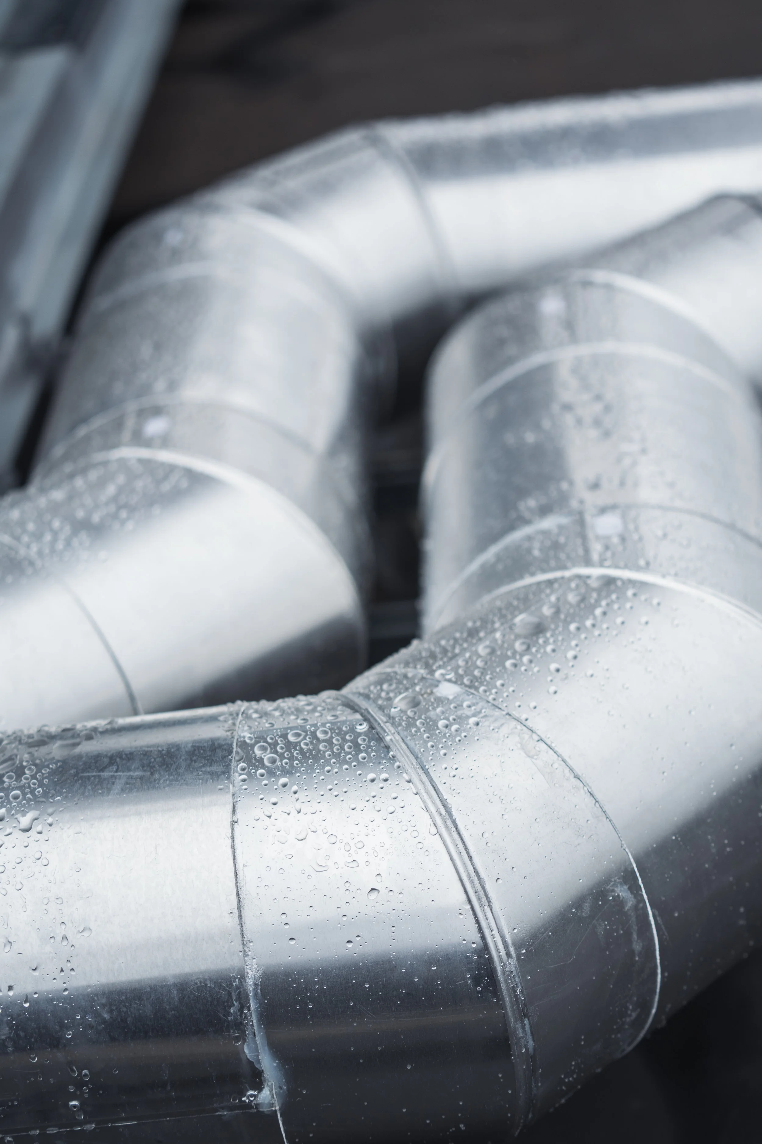 © Fotograf Cecilie Hatløy_-3137.jpg