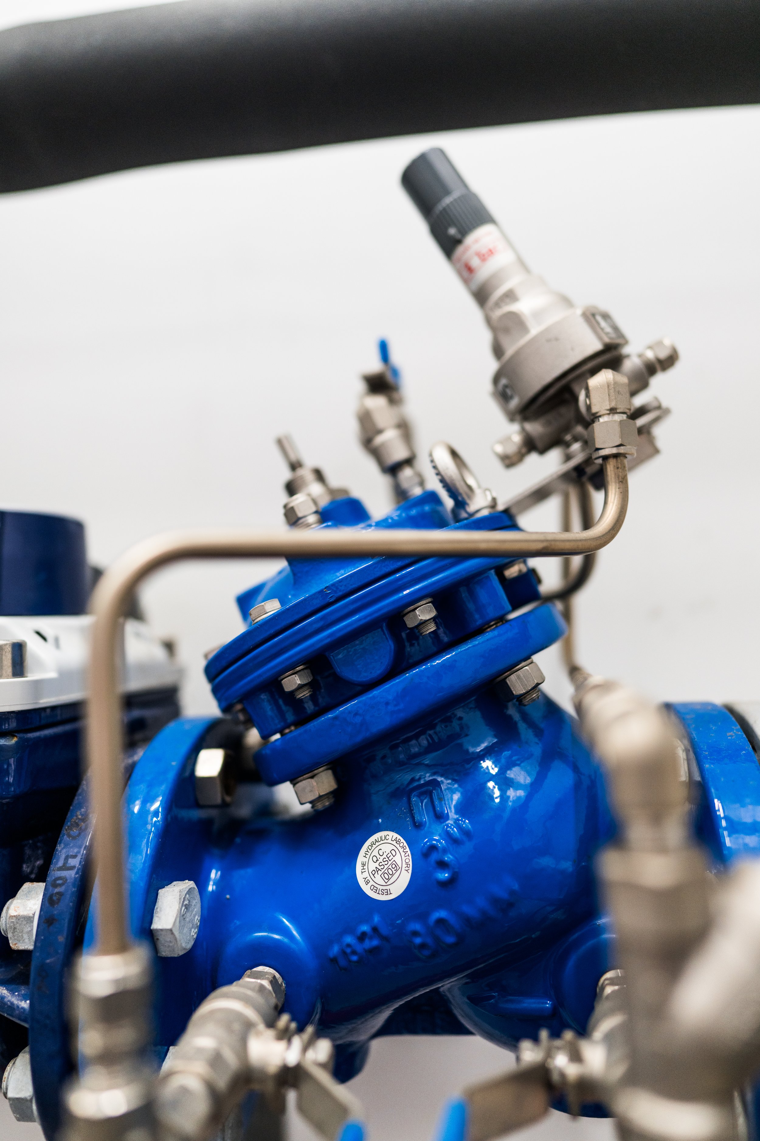 © Cecilie Hatløy_Møre Media-1790.jpg