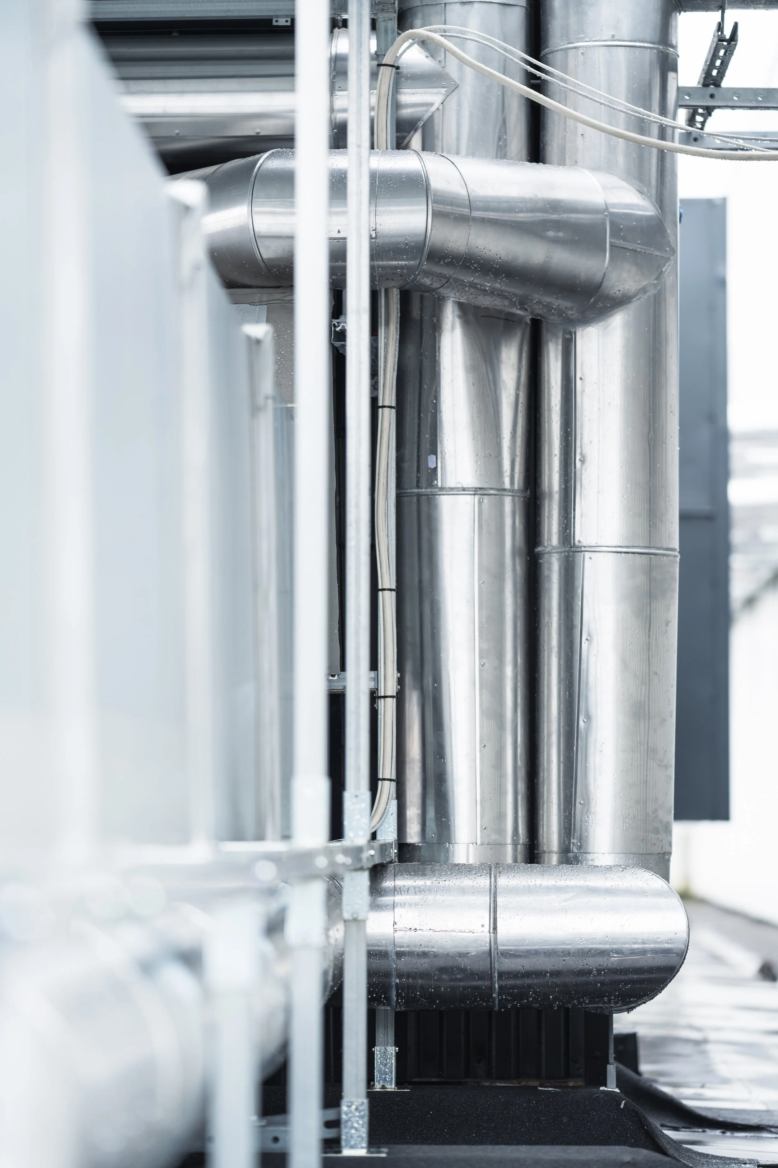 © Fotograf Cecilie Hatløy_-3124.jpg