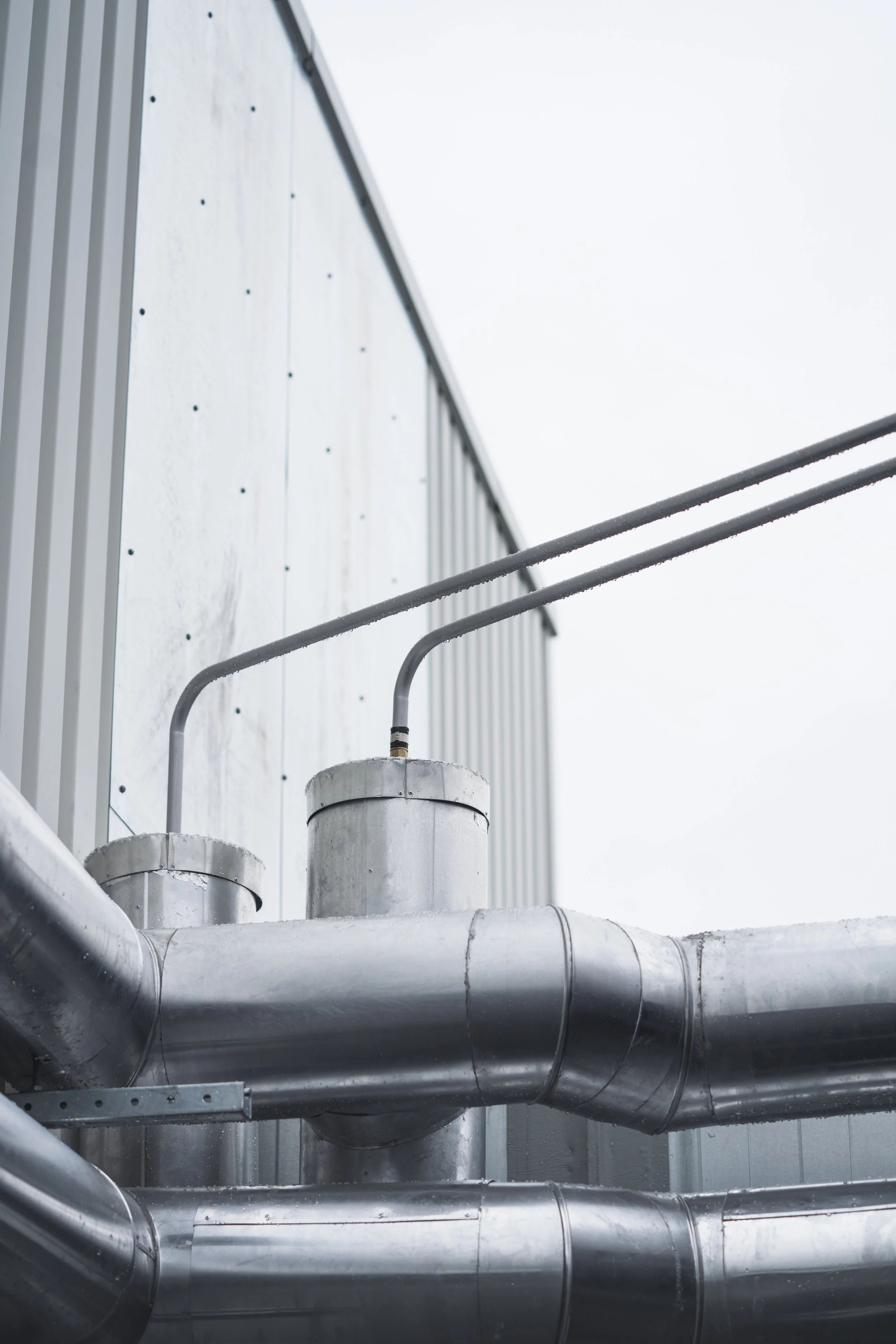 © Fotograf Cecilie Hatløy_-3155.jpg