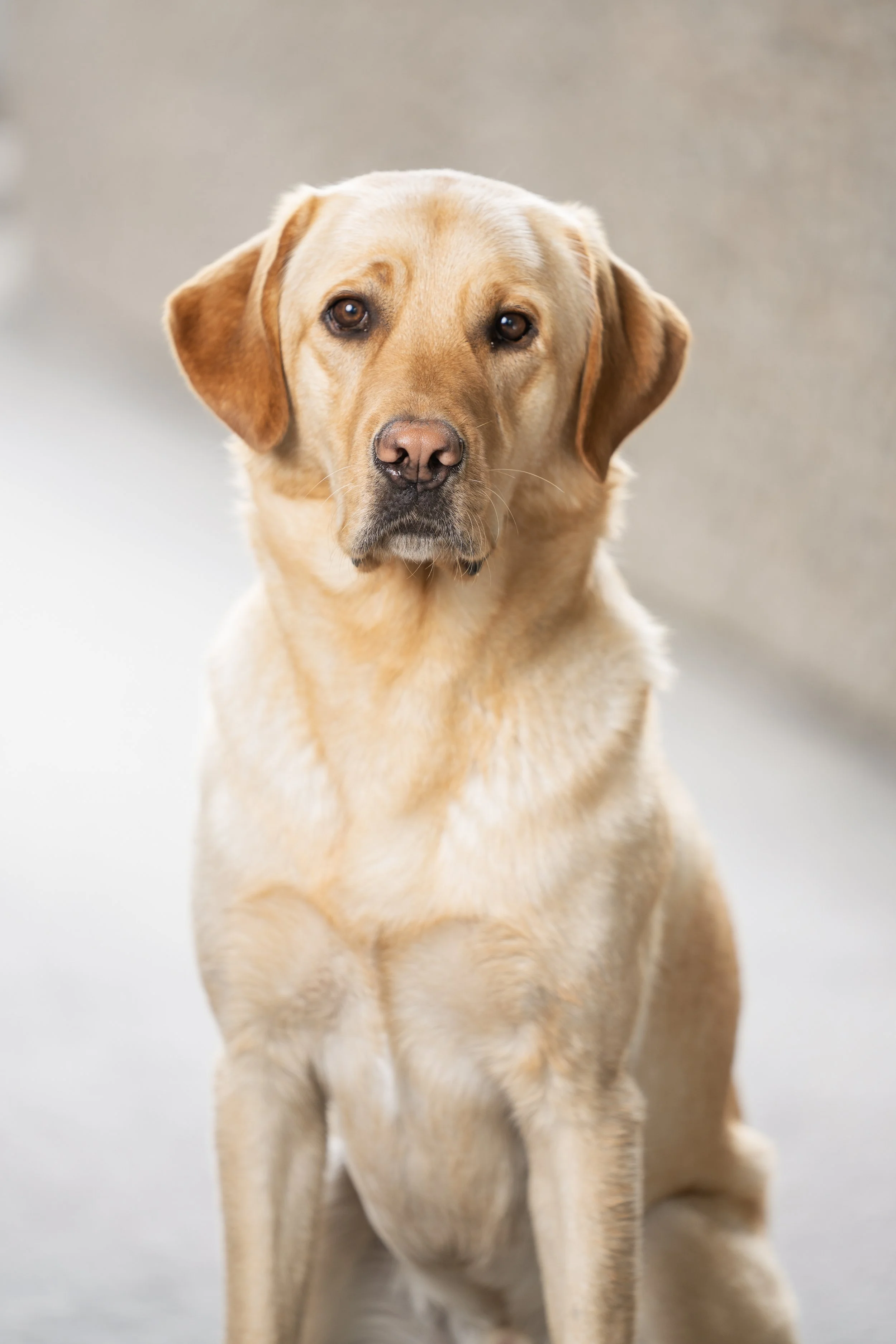 © Cecilie Hatløy_Møre Media-6436-2.jpg