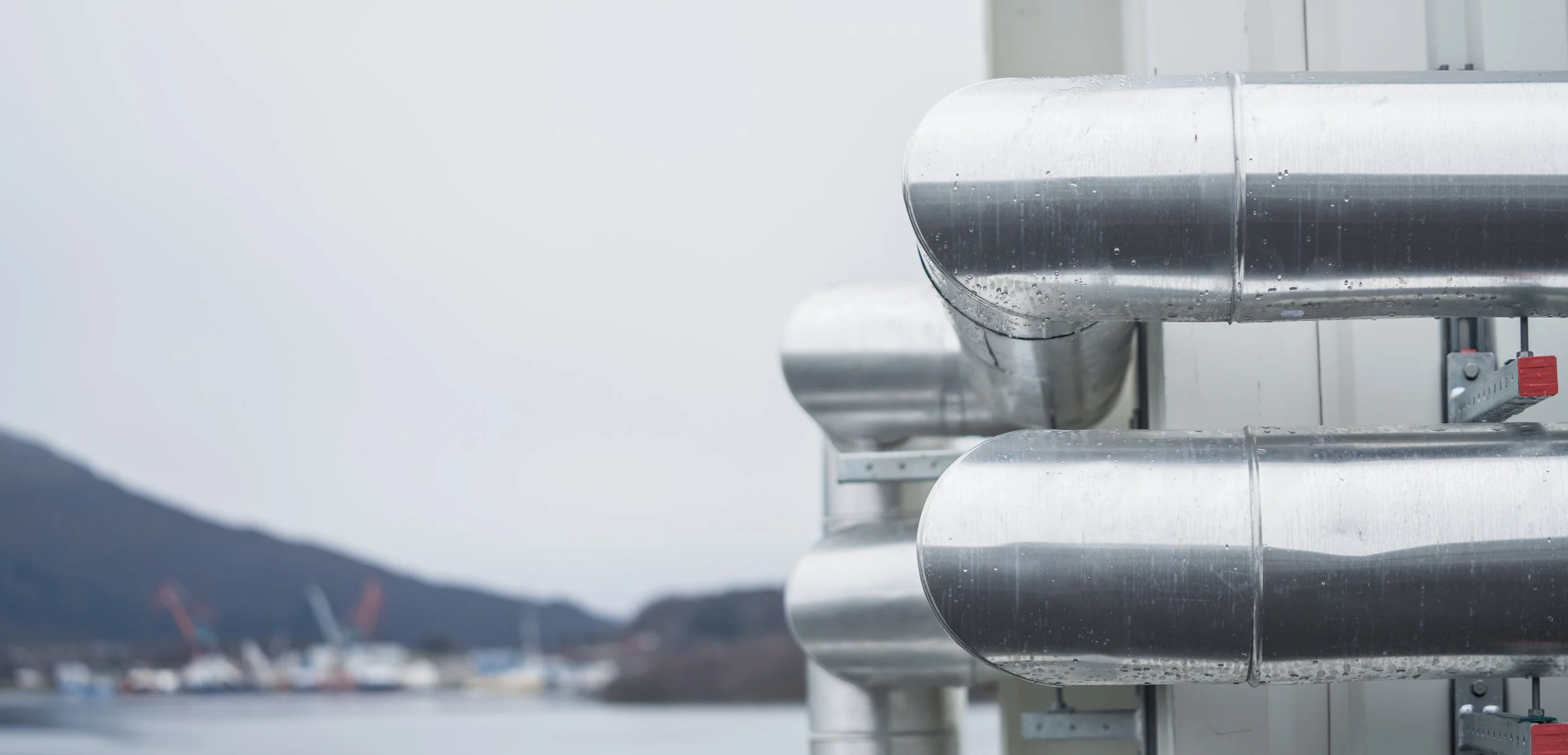 © Fotograf Cecilie Hatløy_-3184.jpg