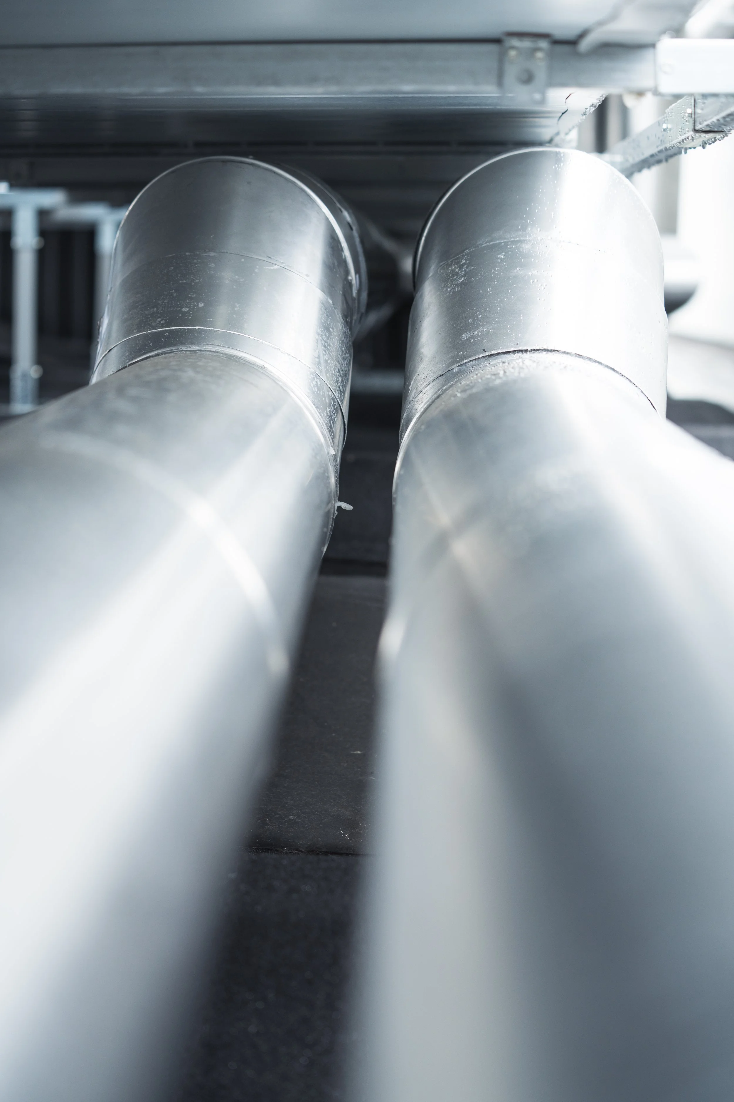 © Fotograf Cecilie Hatløy_-3131.jpg