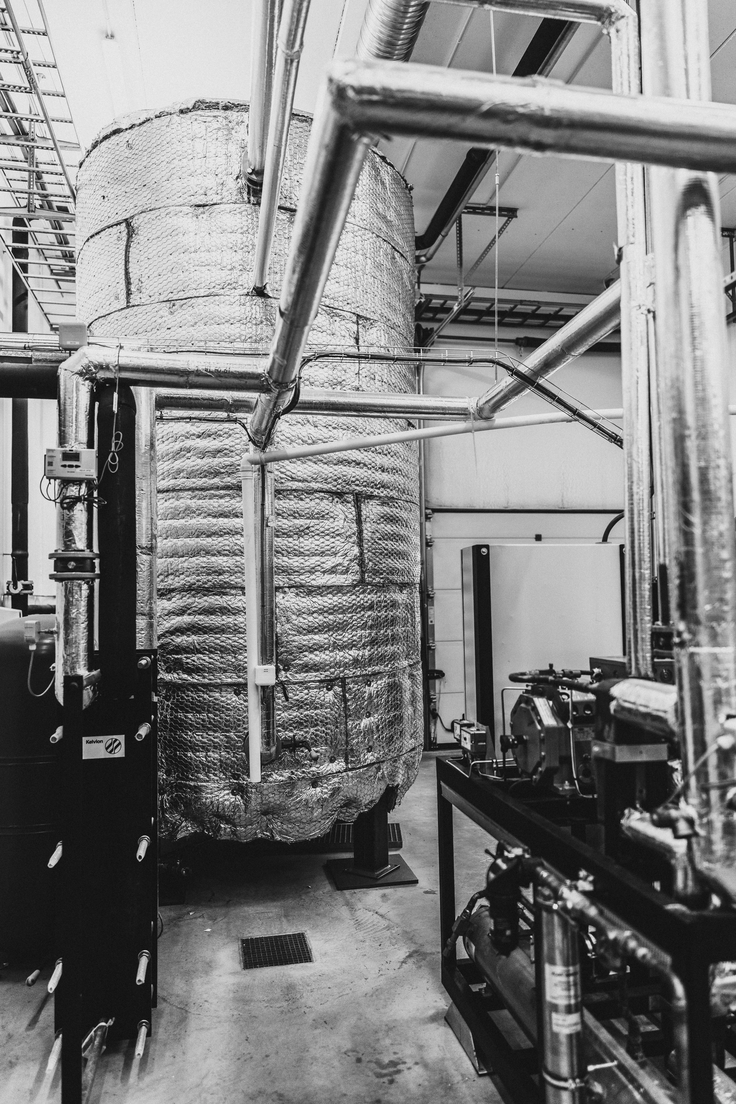 © Cecilie Hatløy_Møre Media-1796-2.jpg