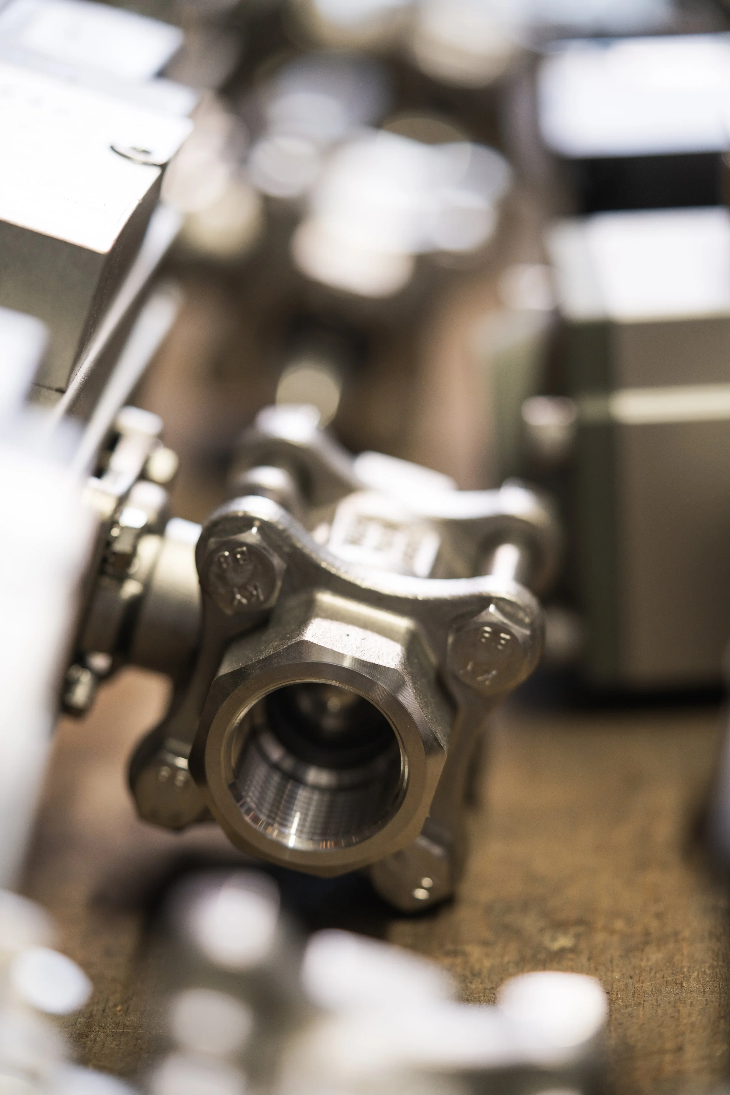 © Fotograf Cecilie Hatløy_-3941.jpg