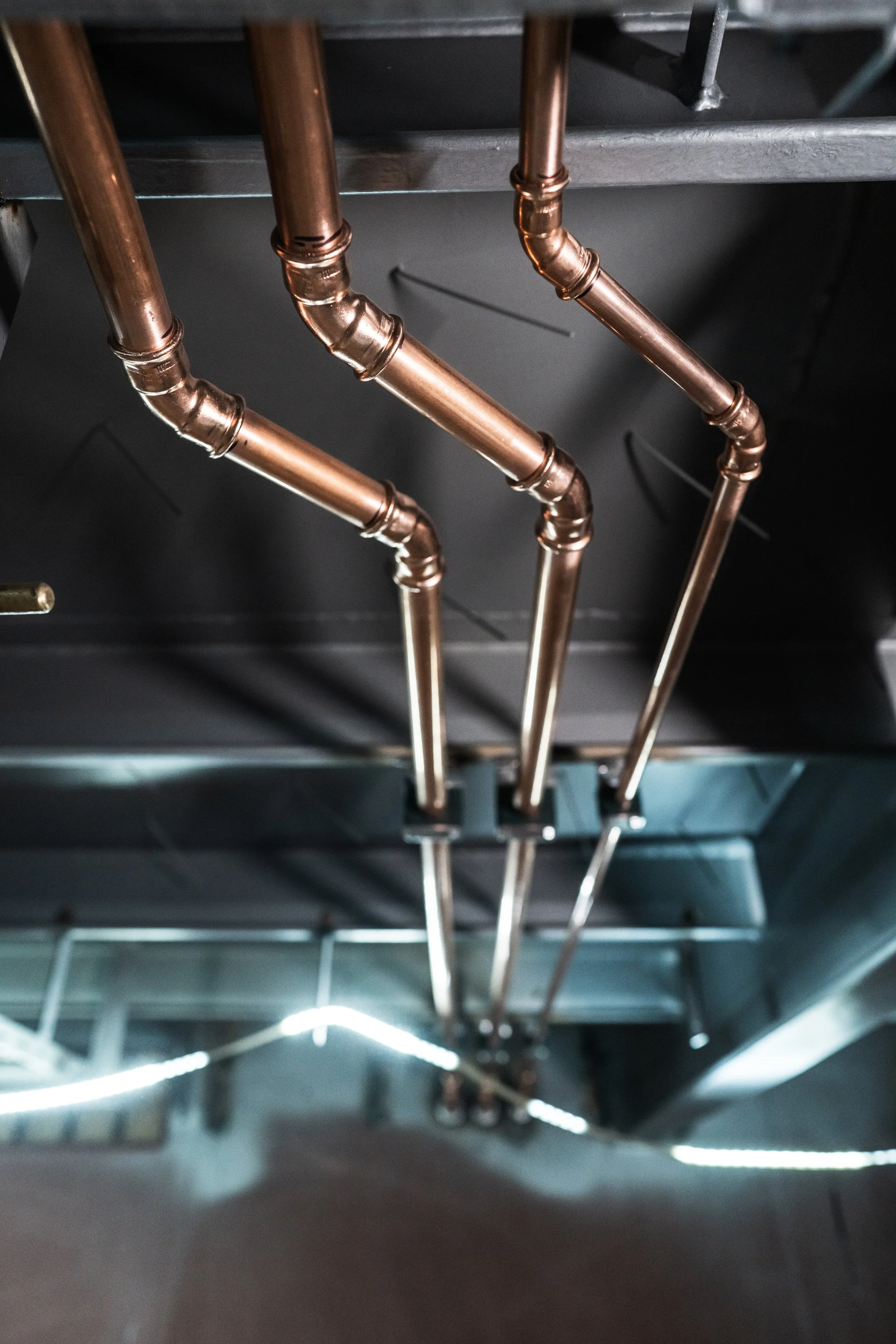 © Fotograf Cecilie Hatløy_-3712.jpg