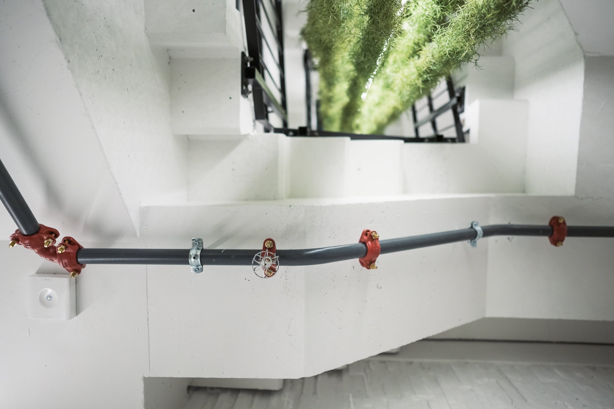 © Fotograf Cecilie Hatløy_-3415.jpg