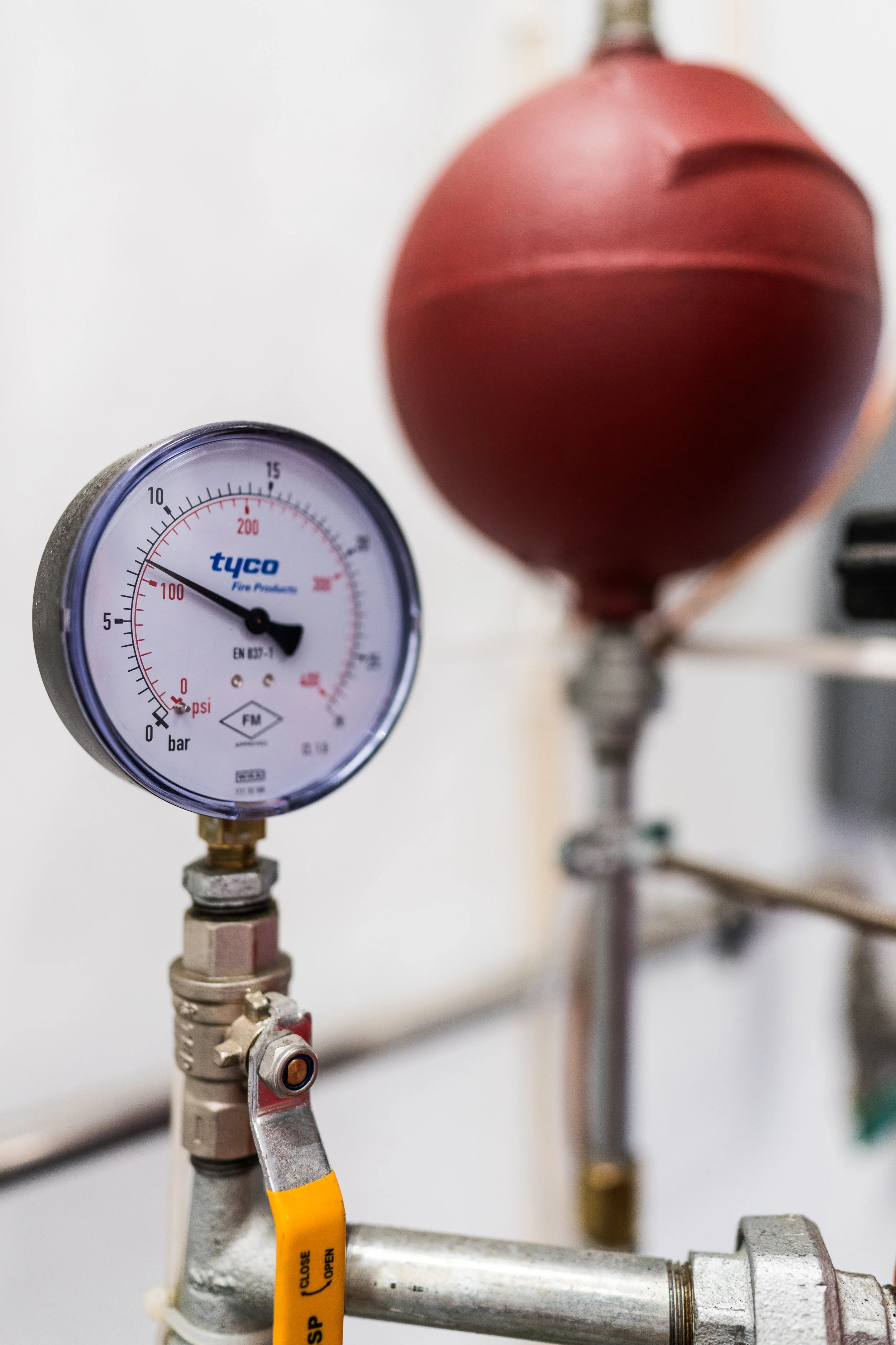 © Cecilie Hatløy_Møre Media-1791.jpg