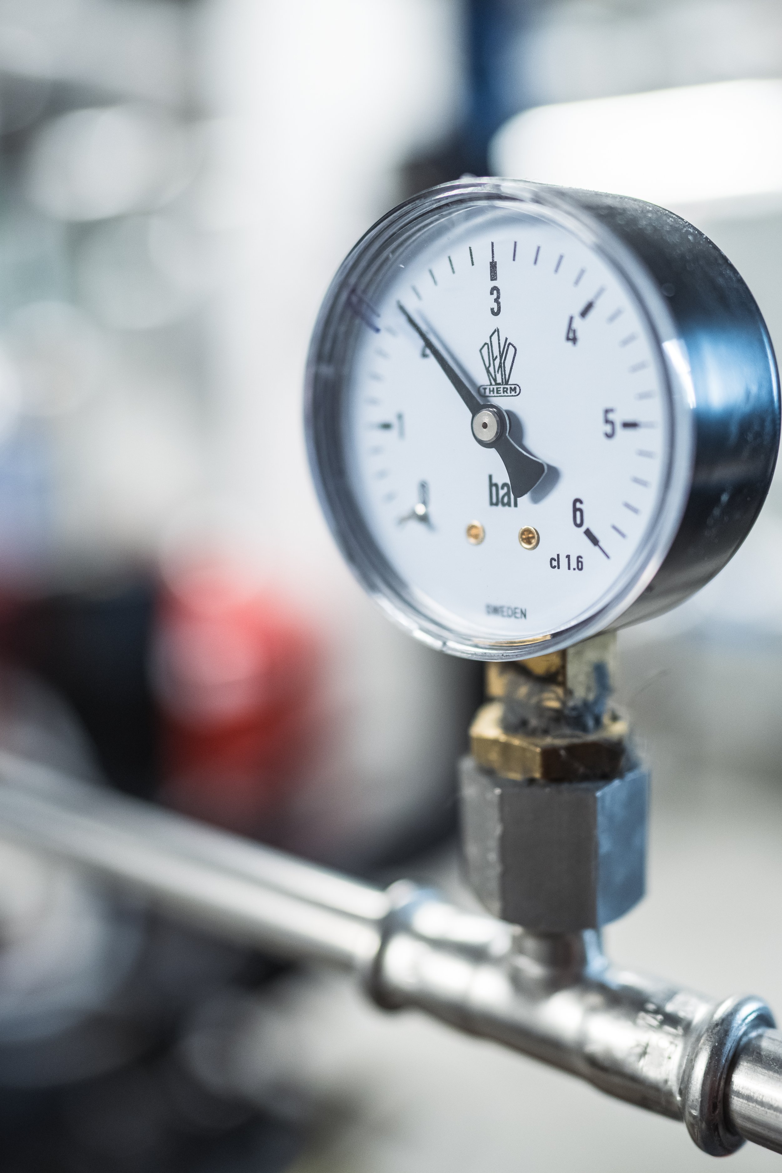 © Fotograf Cecilie Hatløy_-3227.jpg