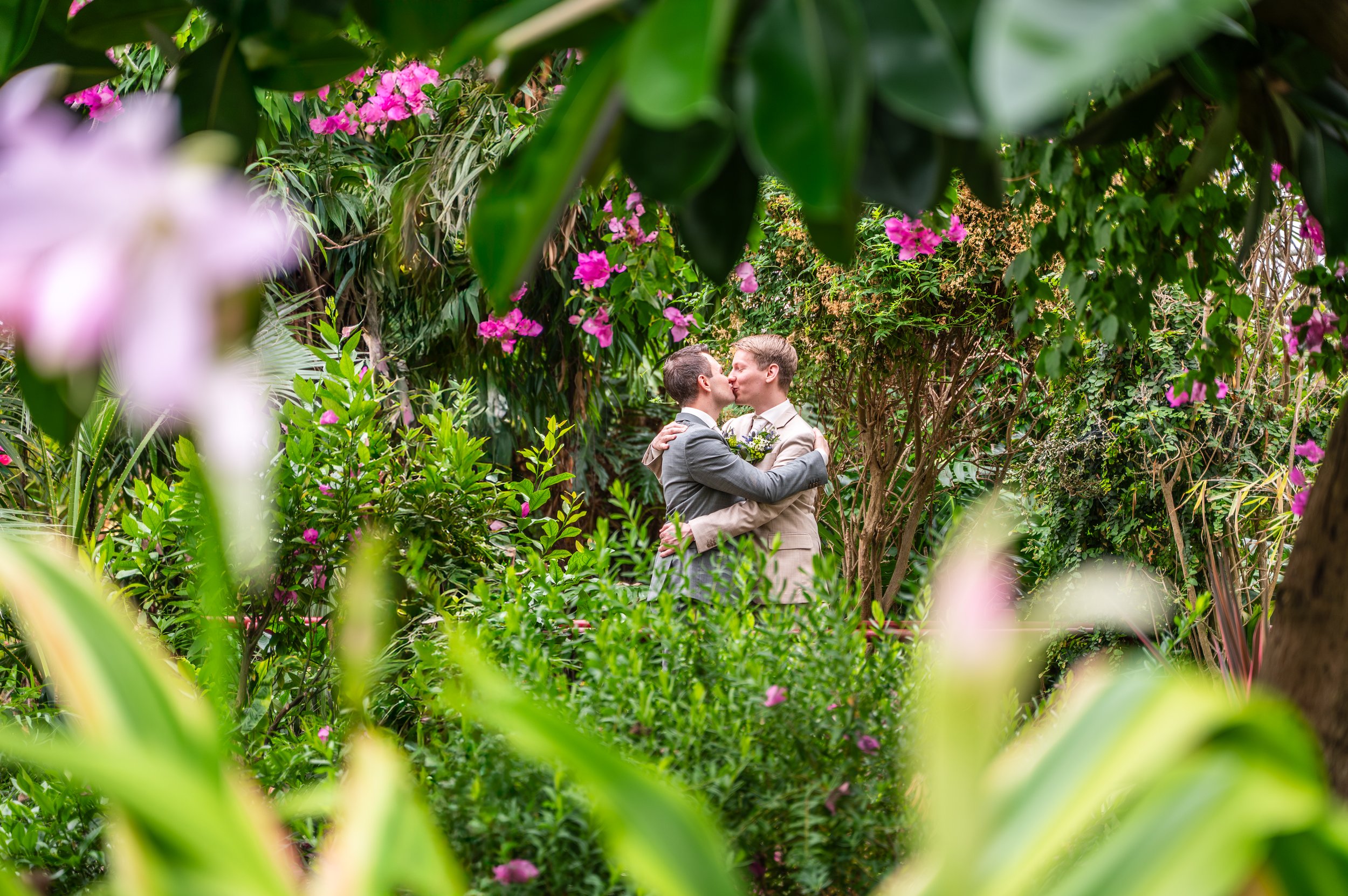 Twee mannen in formele kleding kussen in een tuin met veel groene planten en bloemen, omgeven door roze bloemen.