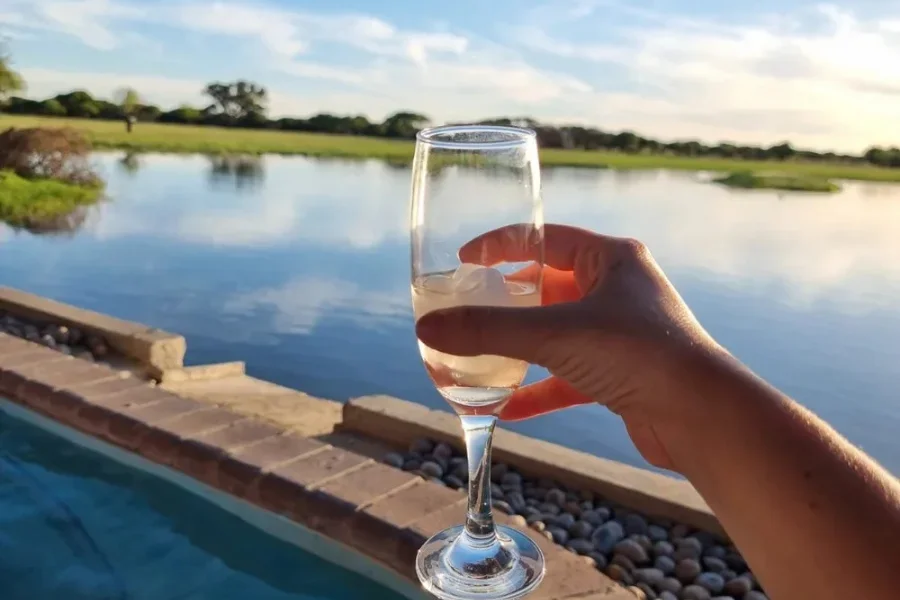 Cheers with glass overlooking waterhole at Berendina Wildsplaas