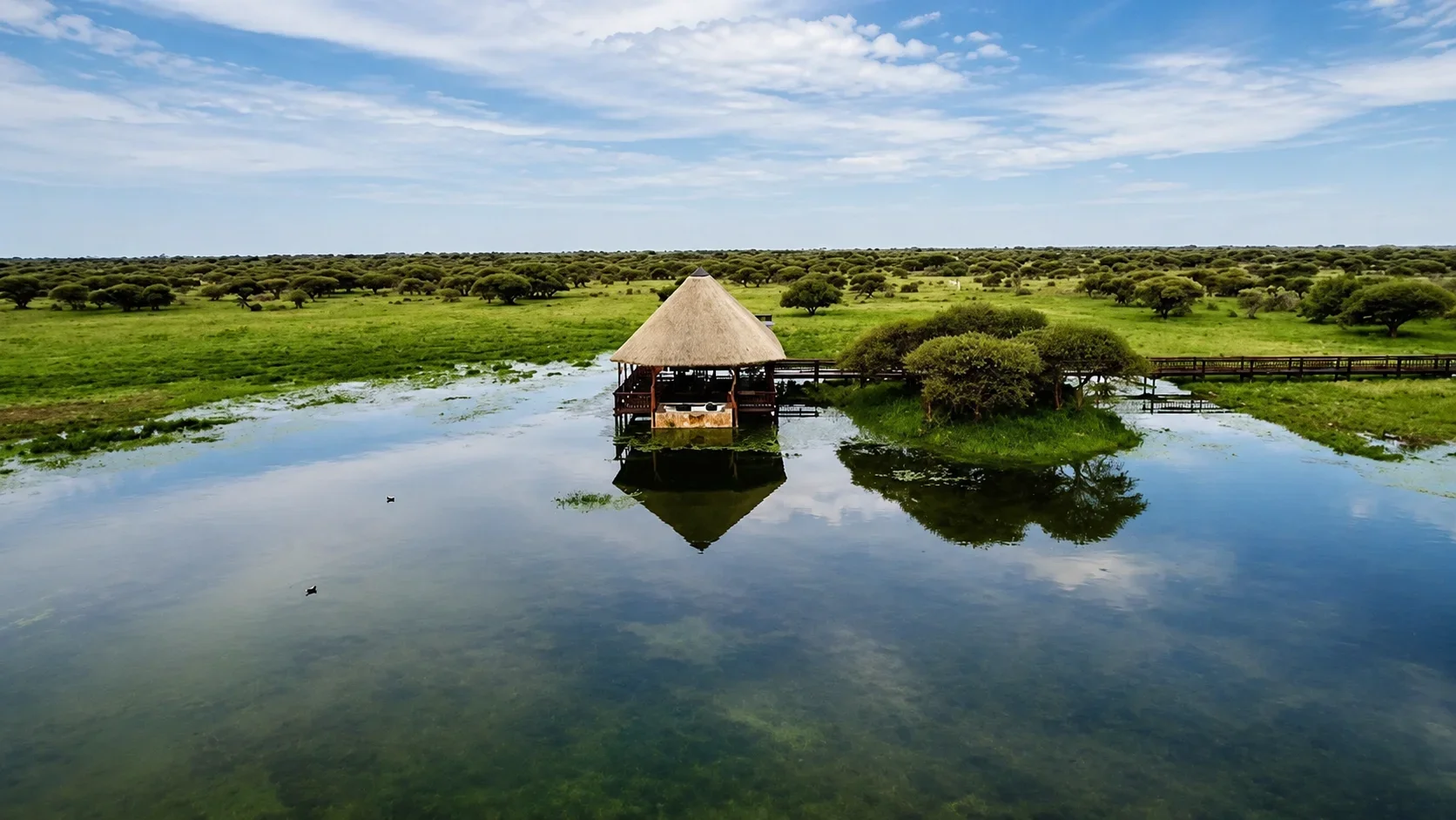 Waterhole berendina.webp