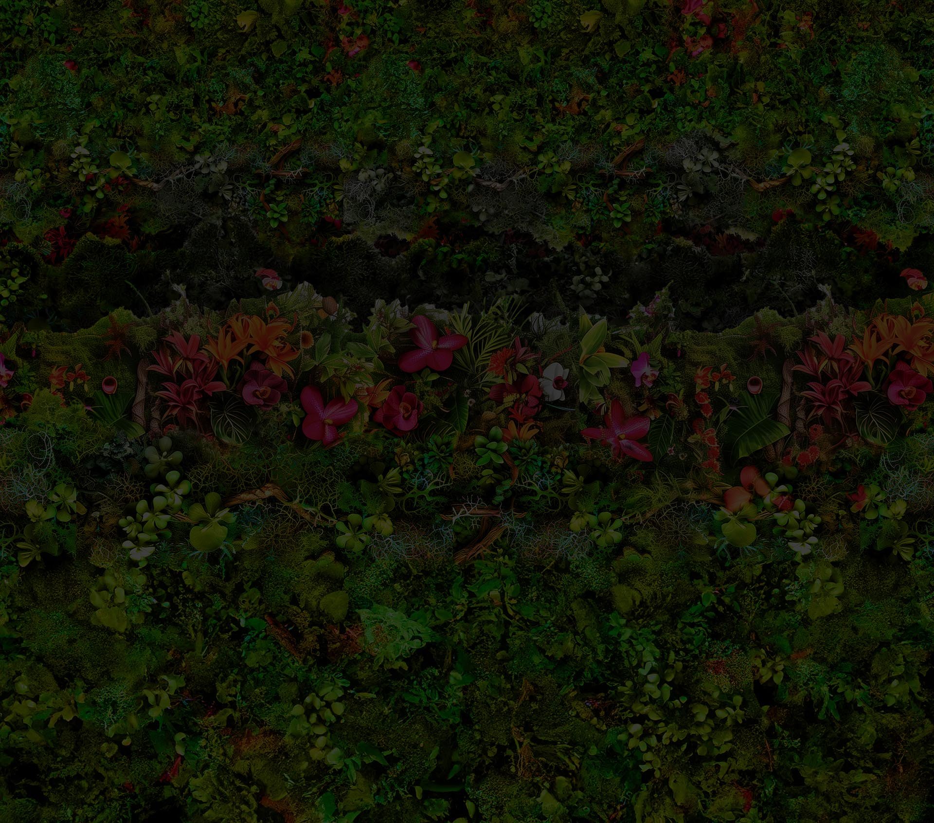 background-1.jpg