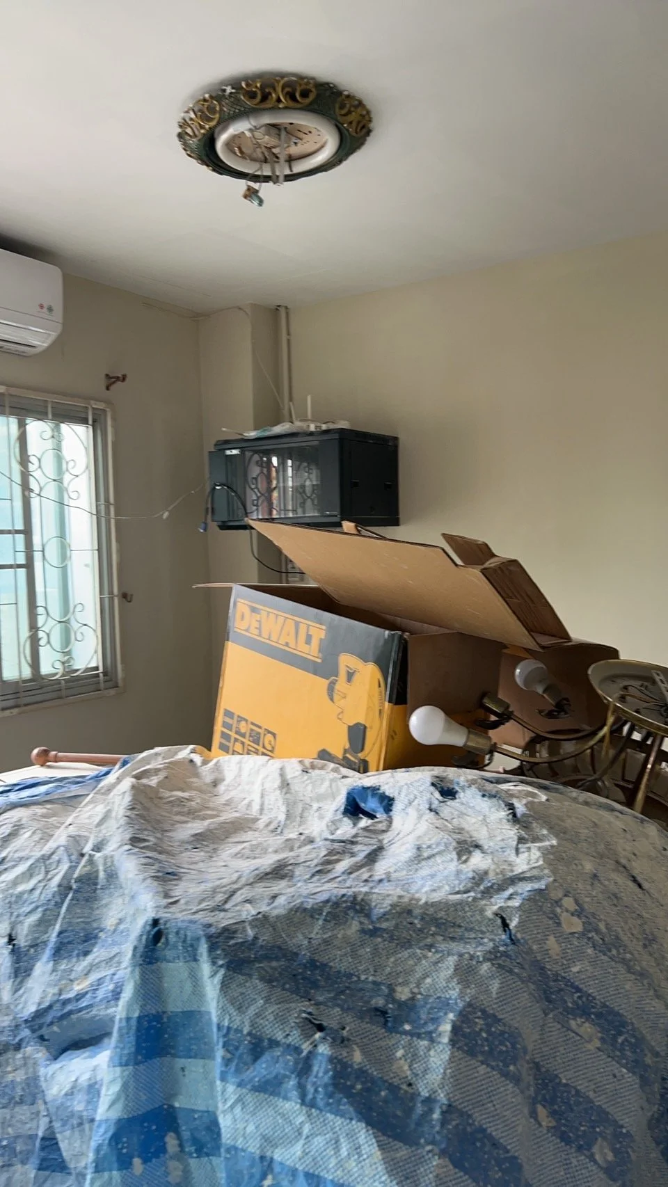 S__36479040.jpg