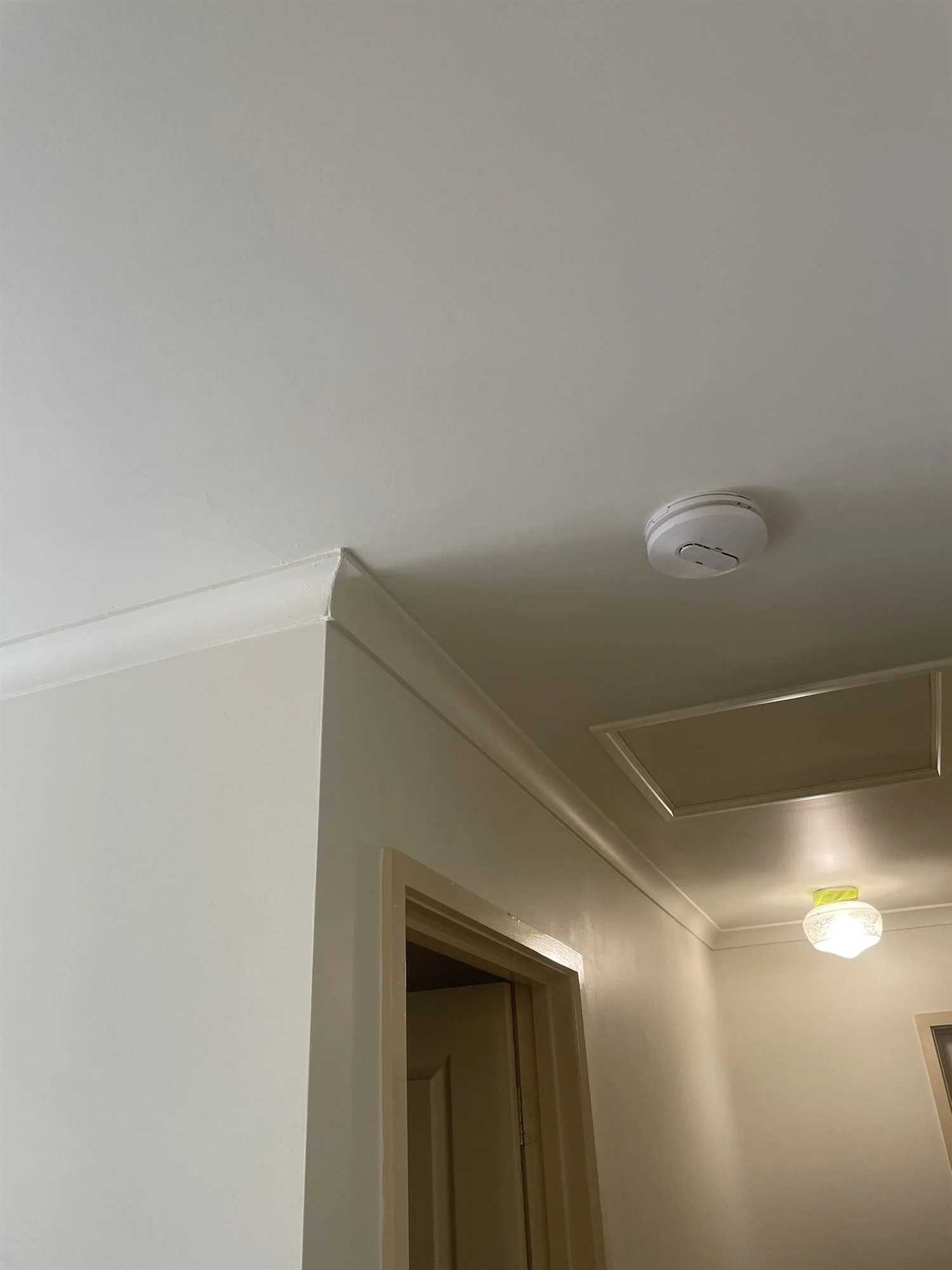 Repaired cornice and ceiling corner with a smooth, even painted finish
