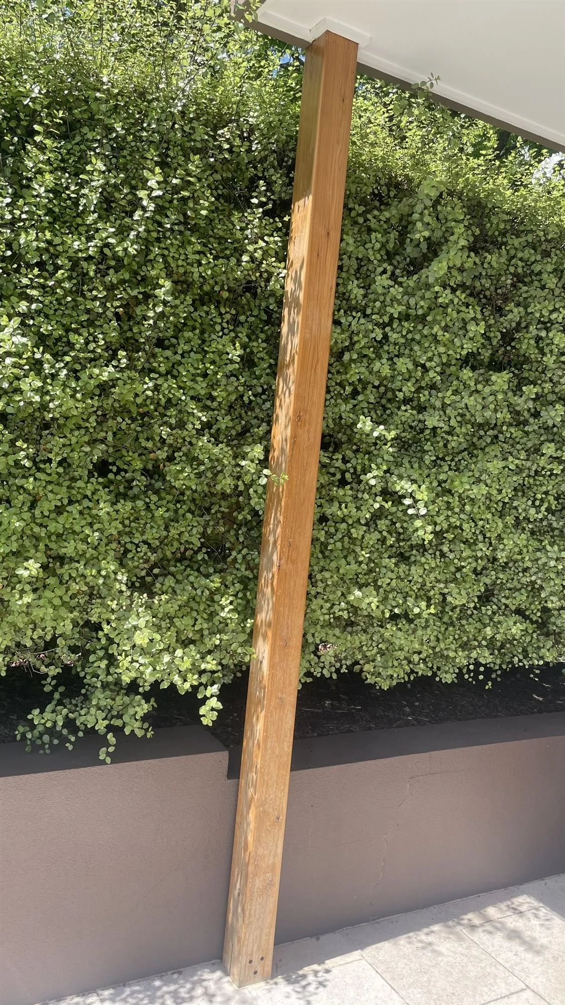 Weathered timber pergola post before sanding